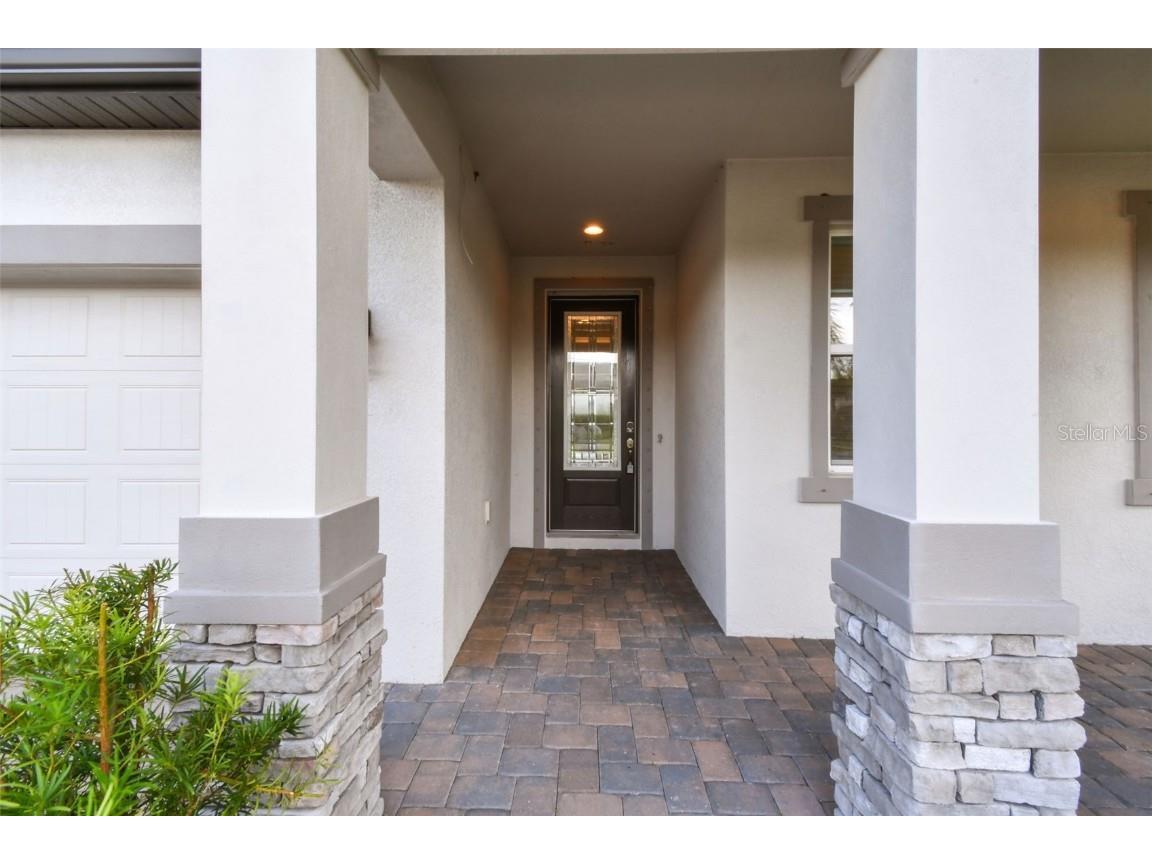 11009 Rosso Della Street Riverview FL 33578 TB8439502 image5