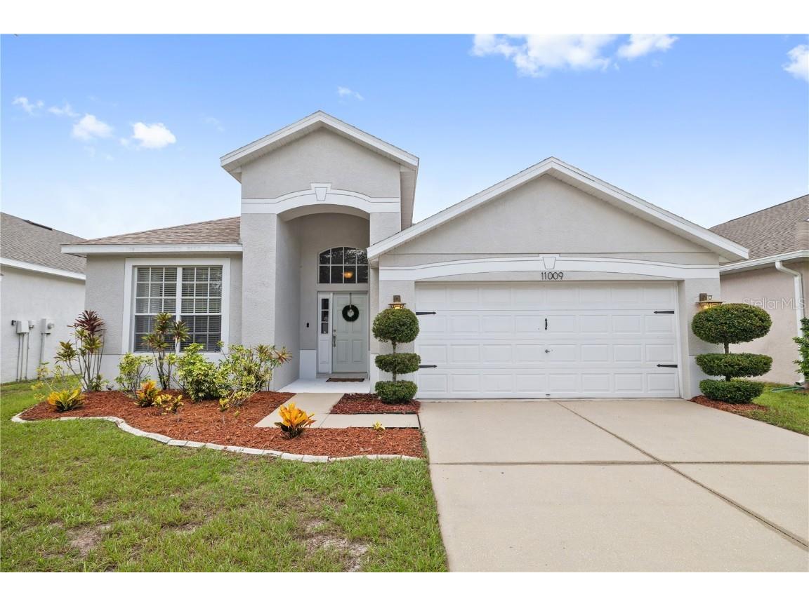11009 Silver Dancer Drive Riverview FL 33579 T3468401 image1