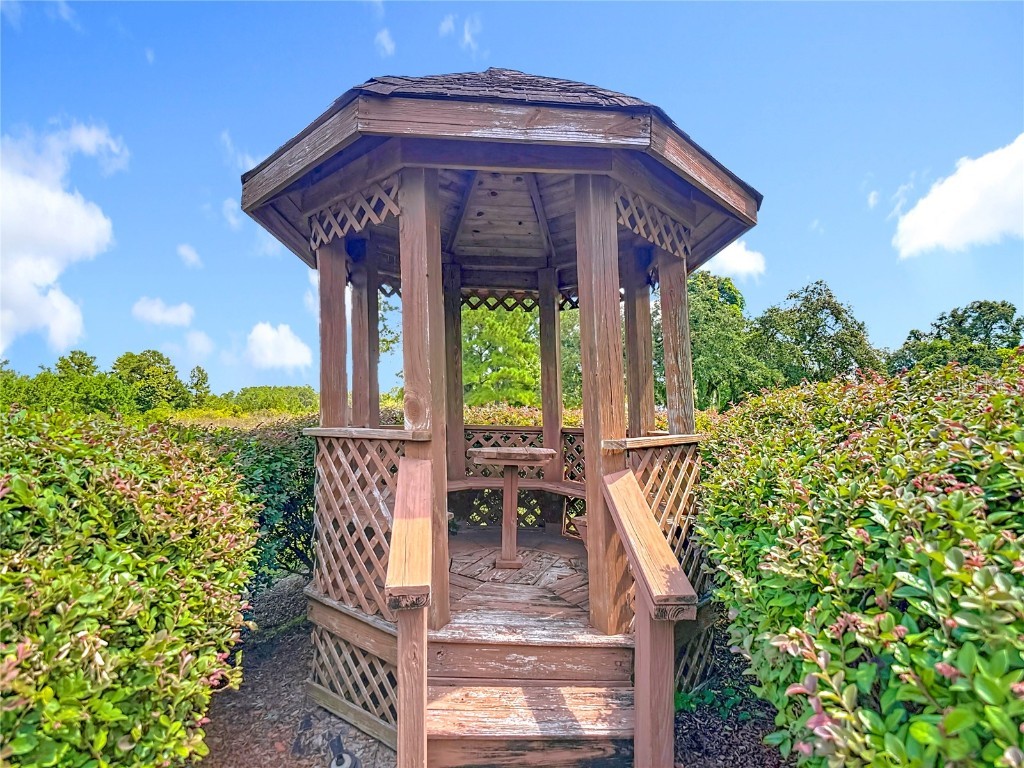 11009 Woodland Waters Boulevard Weeki Wachee FL 34613 - TOOKE SHORE LAKE TB8422112 image63