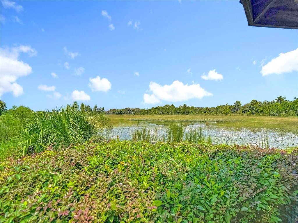 11009 Woodland Waters Boulevard Weeki Wachee FL 34613 - TOOKE SHORE LAKE TB8422112 image70