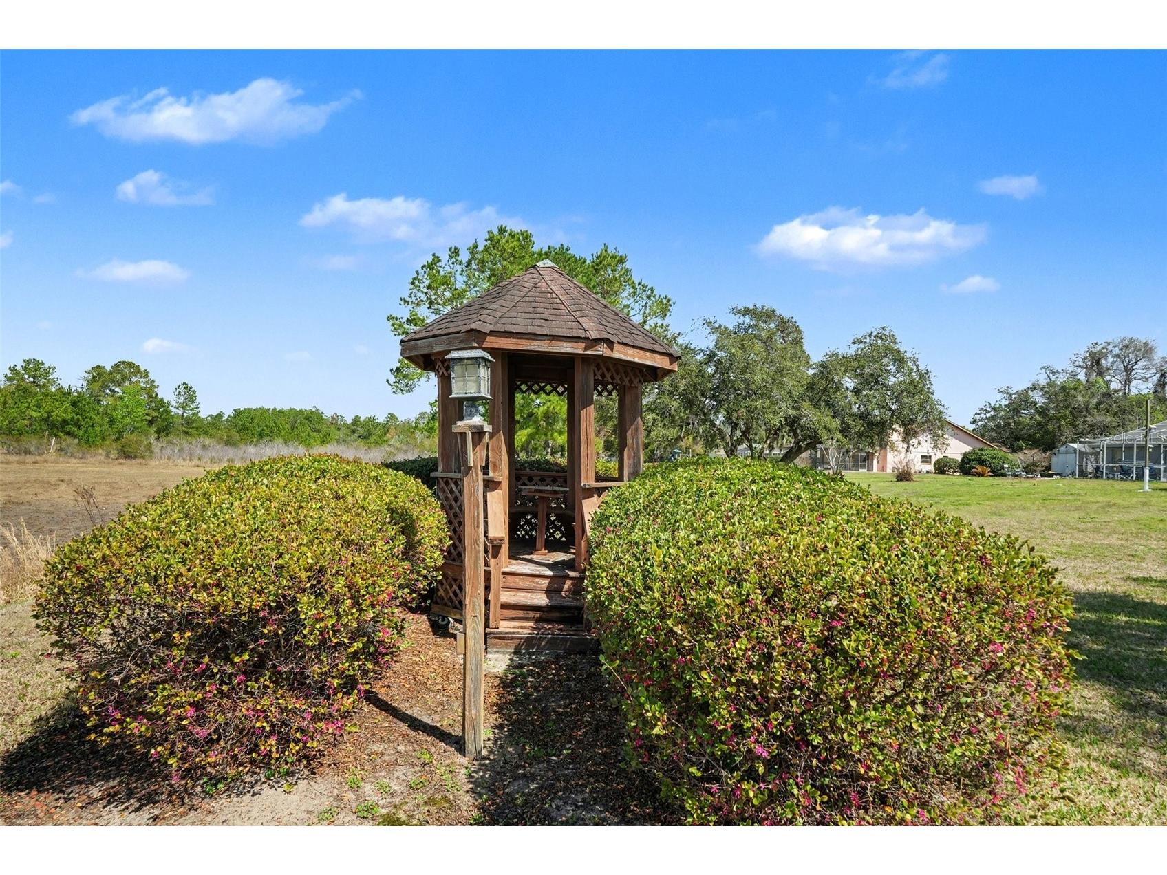 11009 Woodland Waters Boulevard Weeki Wachee FL 34613 TB8484304 image43