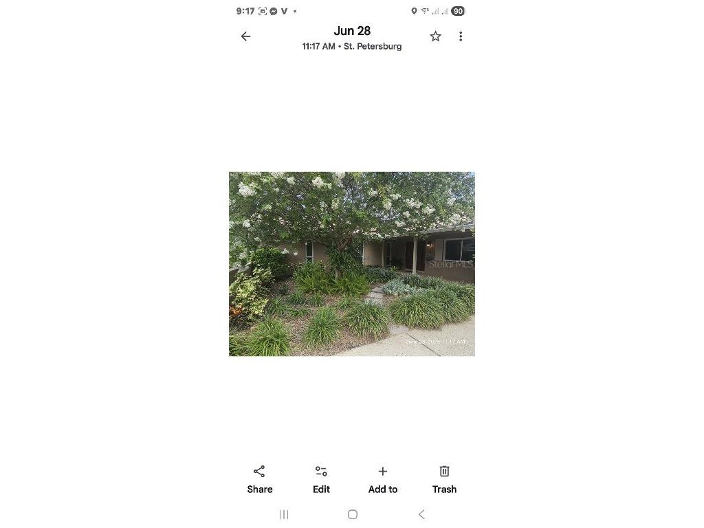 1101 87th Avenue N Saint Petersburg FL 33702 TB8442179 image12