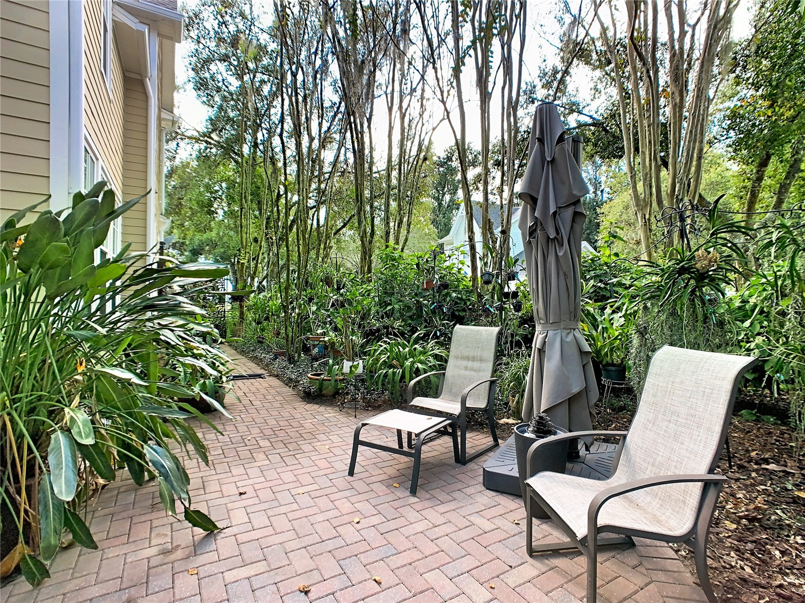 1101 Banks Rose Court Celebration FL 34747 S5137208 image21