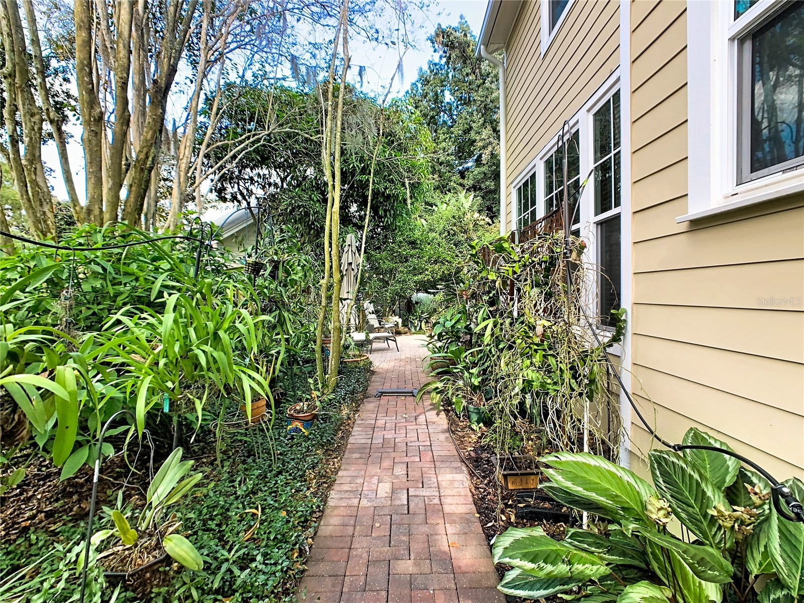 1101 Banks Rose Court Celebration FL 34747 S5137208 image22