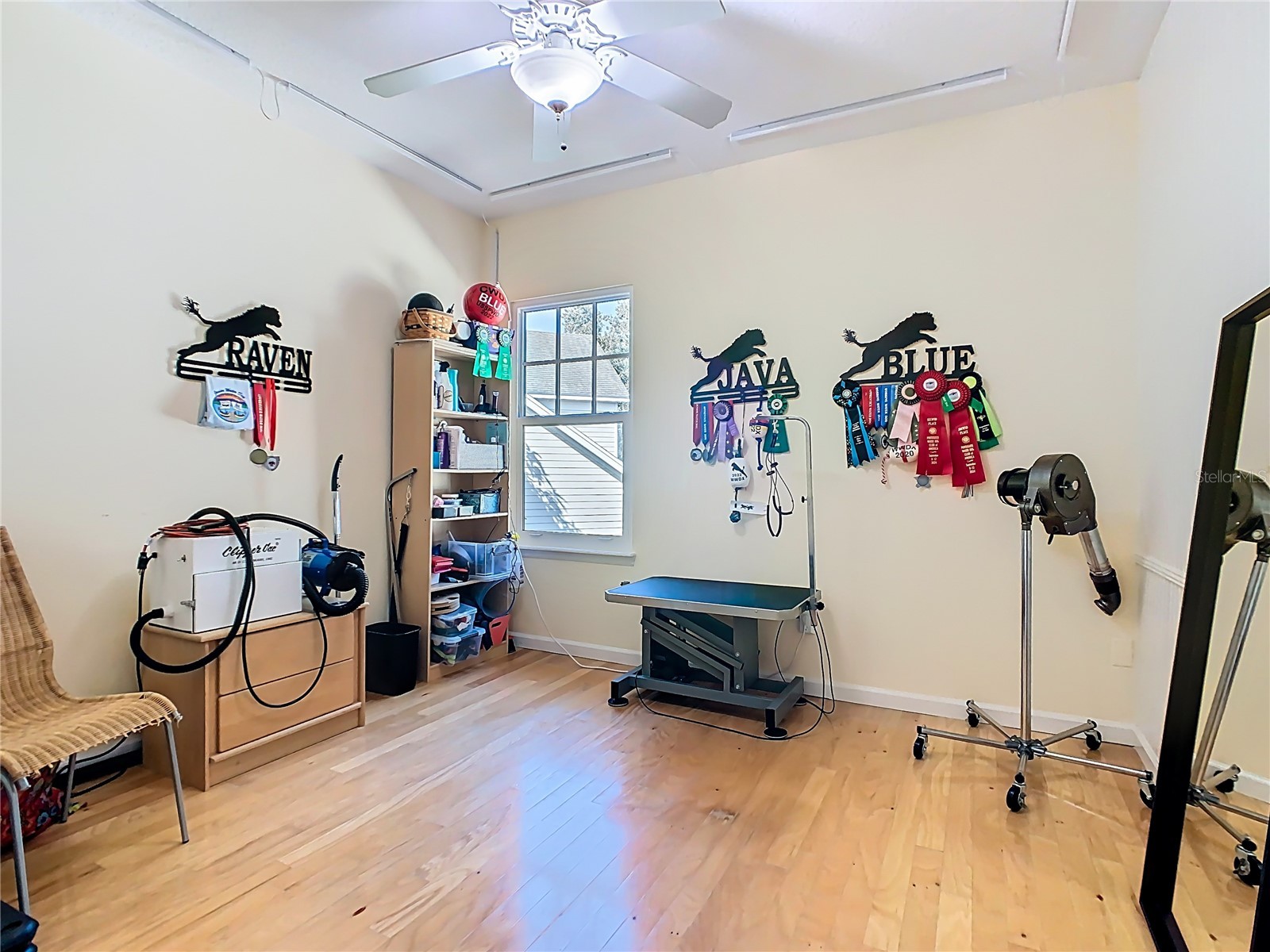 1101 Banks Rose Court Celebration FL 34747 S5137208 image61