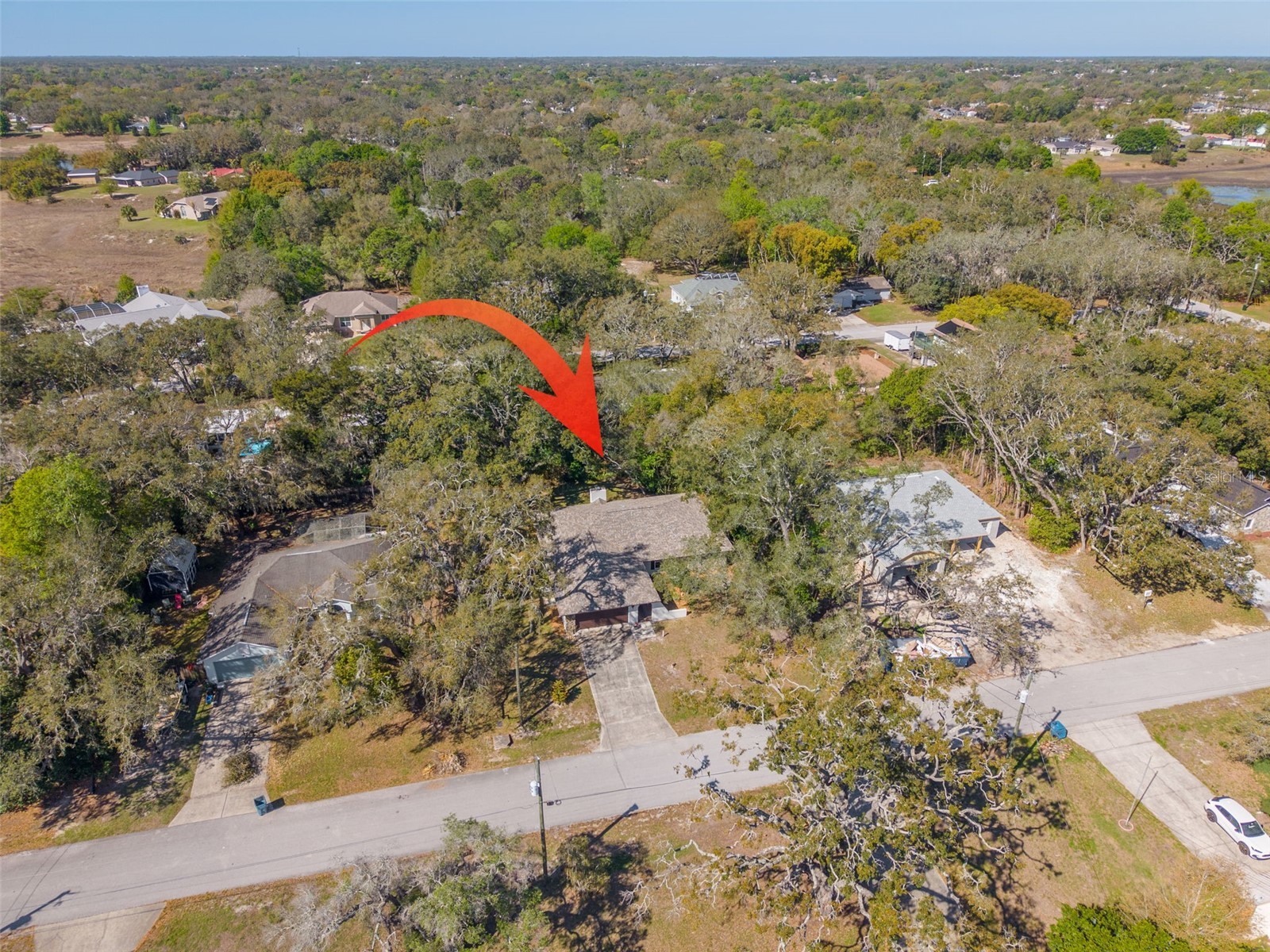 1101 Dagmar Avenue Spring Hill FL 34606 TB8491532 image3