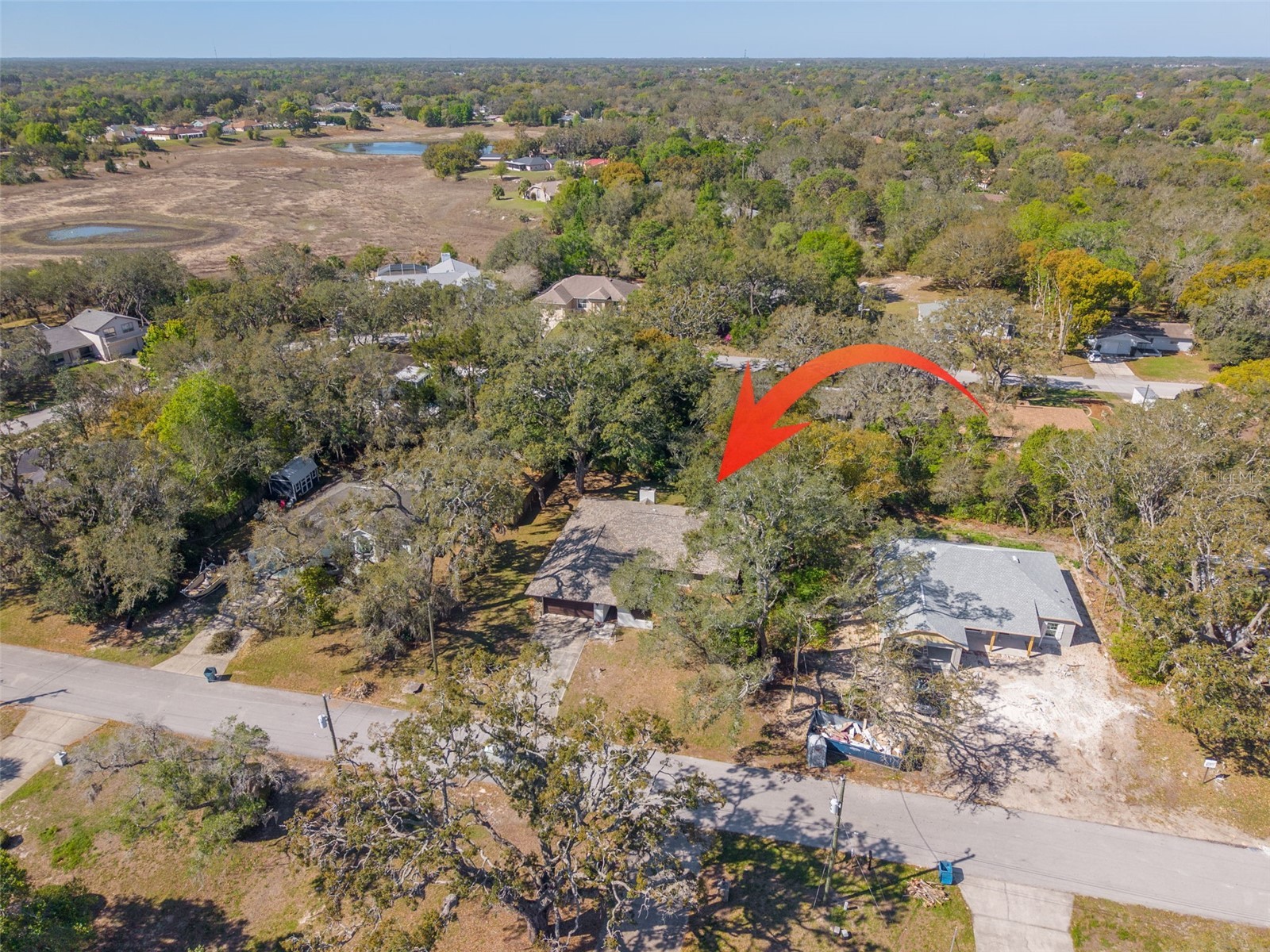 1101 Dagmar Avenue Spring Hill FL 34606 TB8491532 image4