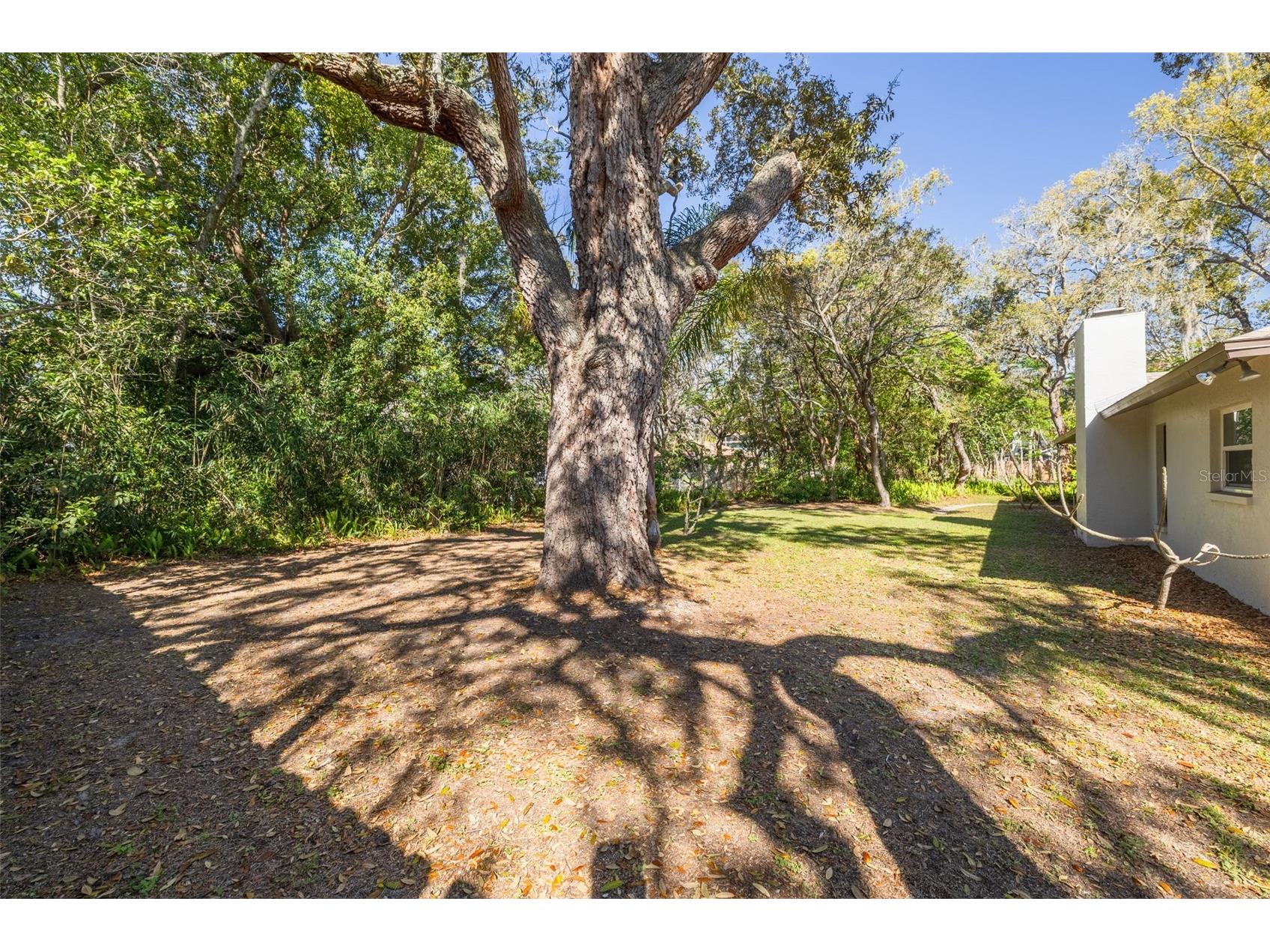 1101 Dagmar Avenue Spring Hill FL 34606 TB8491532 image42