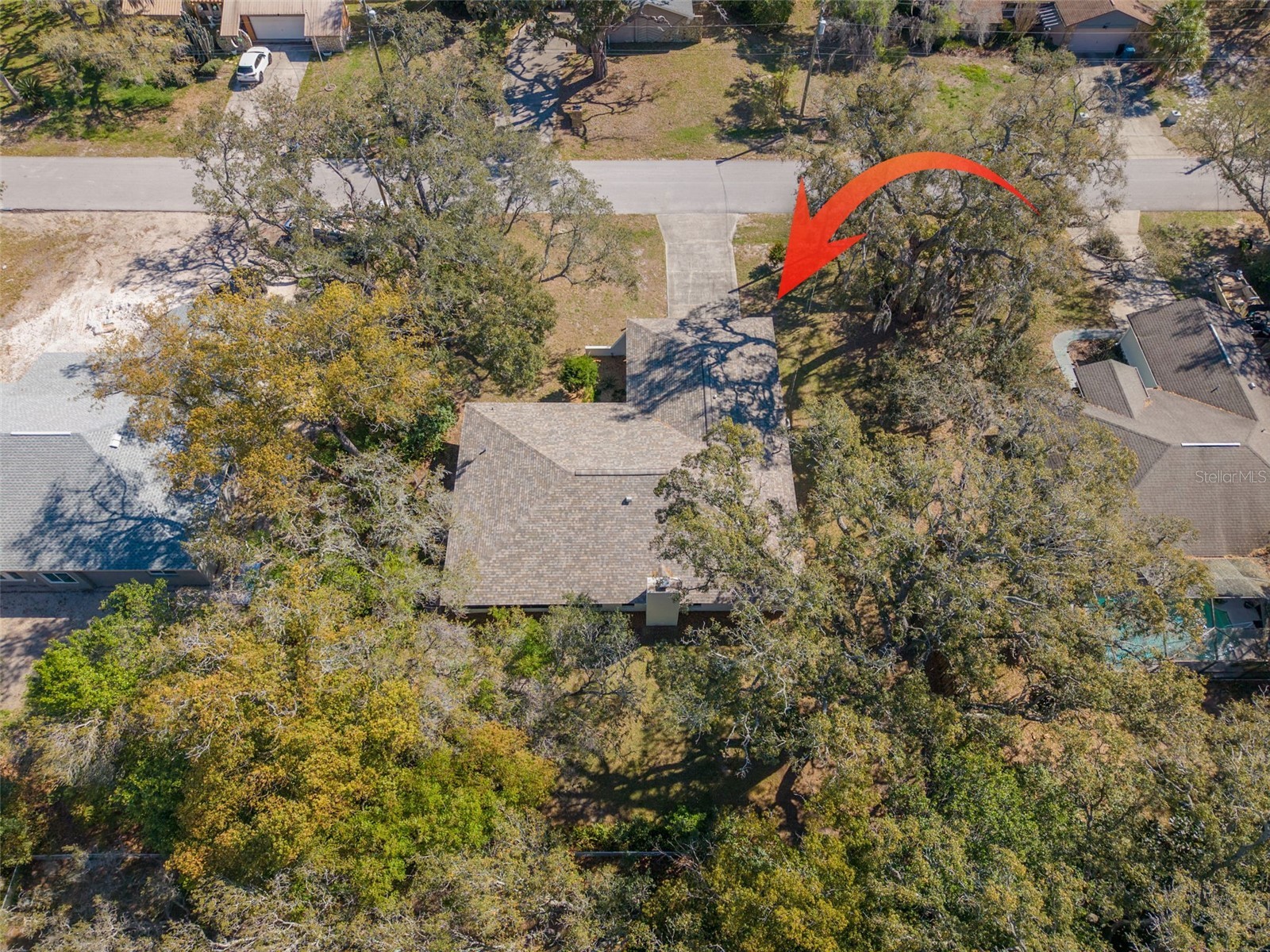 1101 Dagmar Avenue Spring Hill FL 34606 TB8491532 image44
