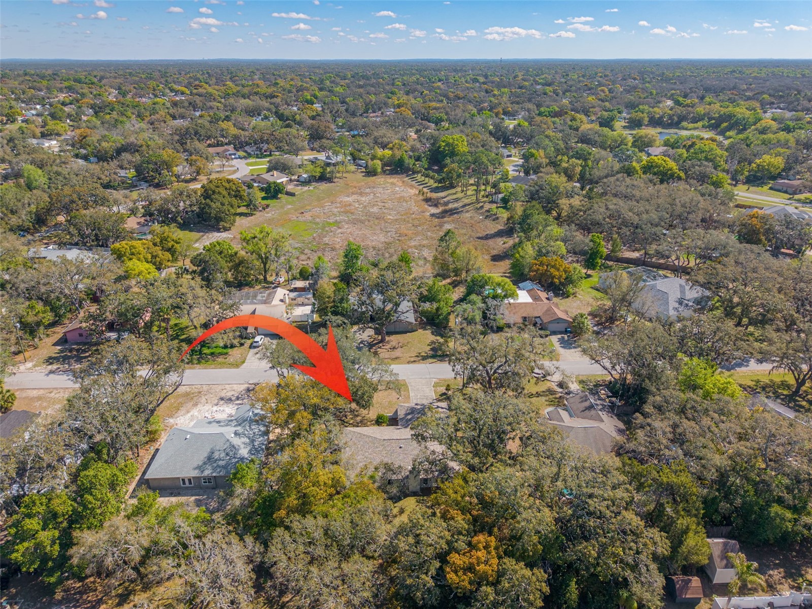 1101 Dagmar Avenue Spring Hill FL 34606 TB8491532 image45