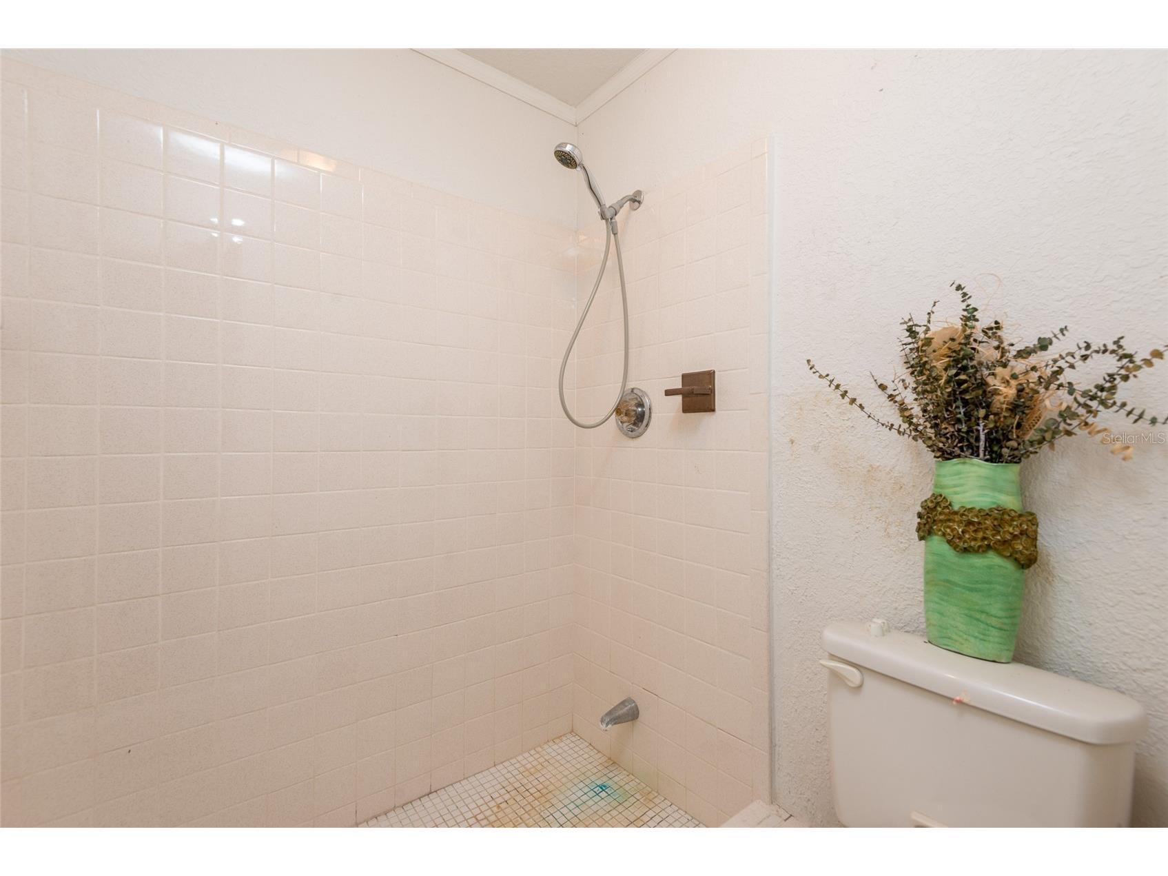 1101 Durant Road Brandon FL 33511 TB8480162 image30