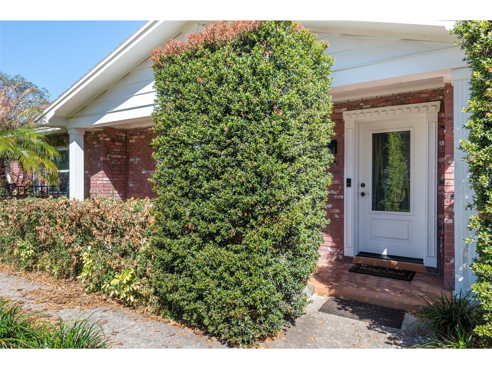 1101 Durant Road Brandon FL 33511 TB8480162 image4