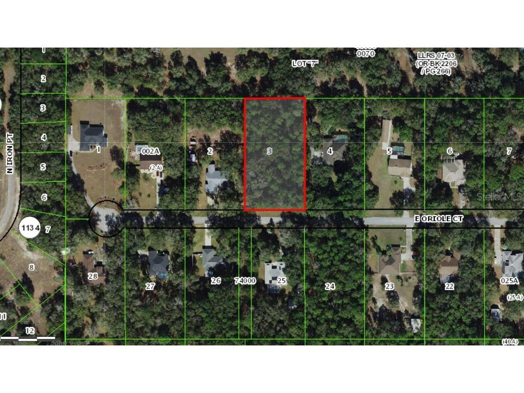 1101 E Oriole Court Hernando FL 34442 OM674910 image1