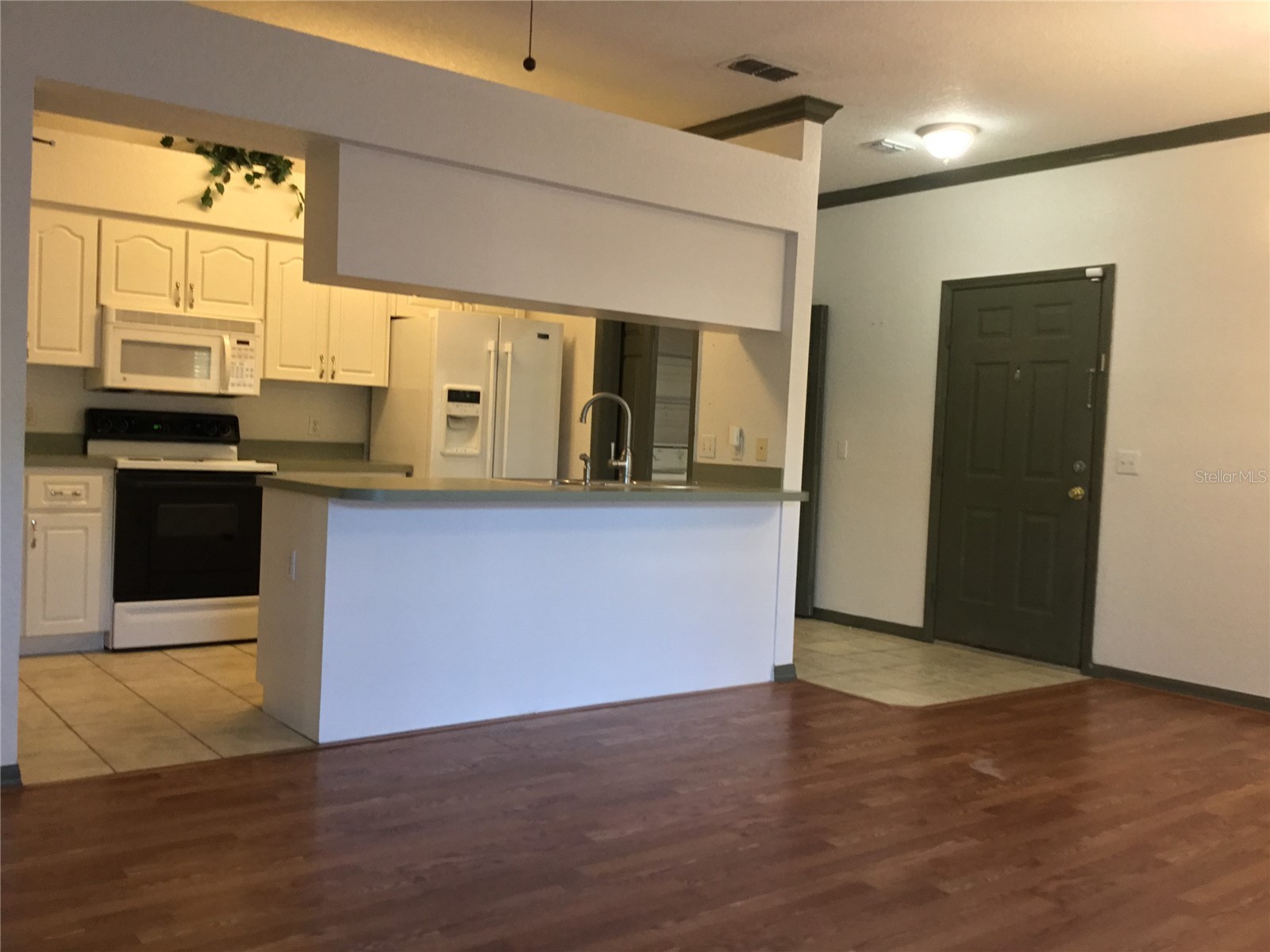 1101 Eagle Pond Drive #1101 Winter Haven FL 33884 S5146256 image17