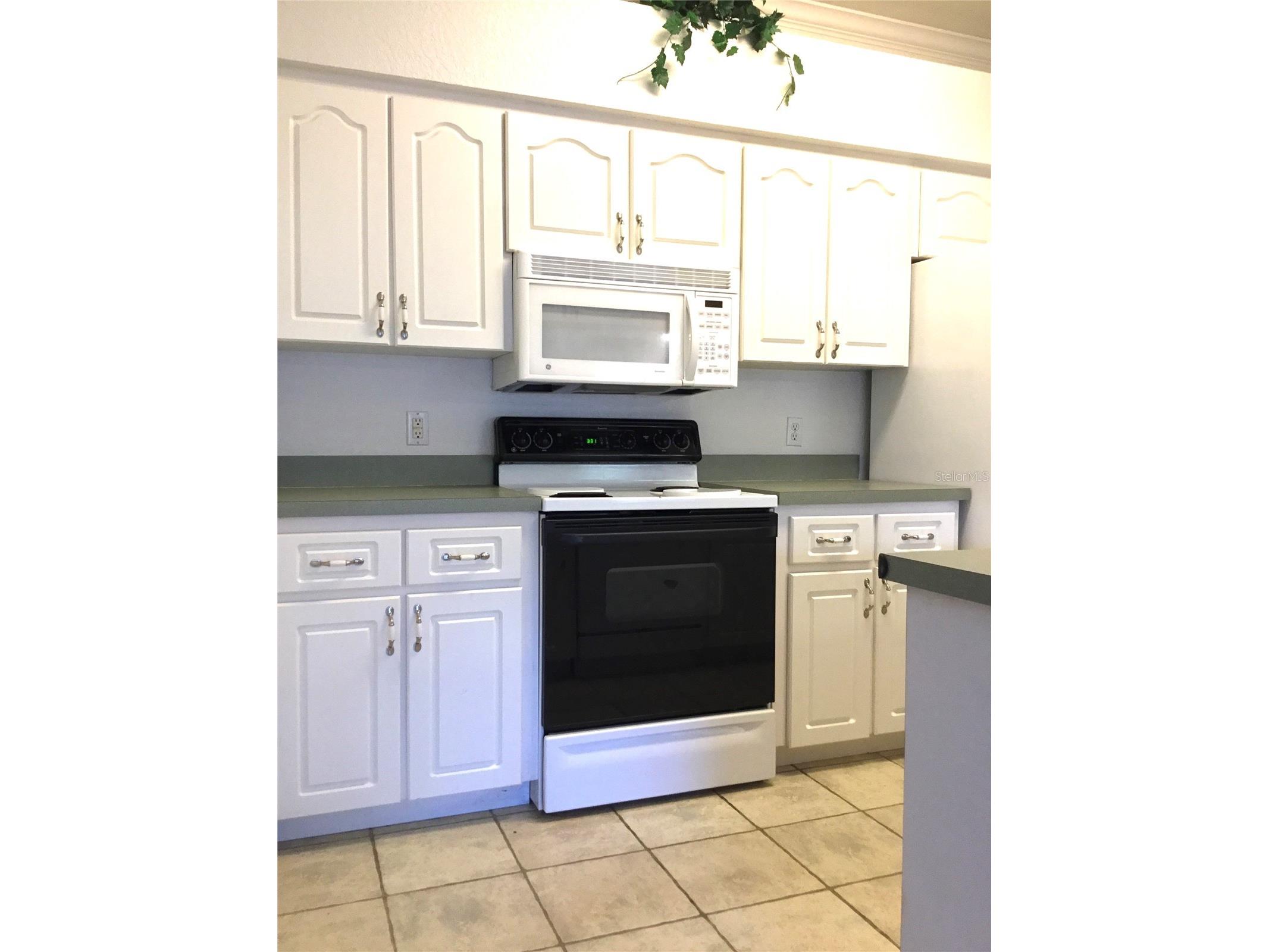 1101 Eagle Pond Drive #1101 Winter Haven FL 33884 S5146256 image4