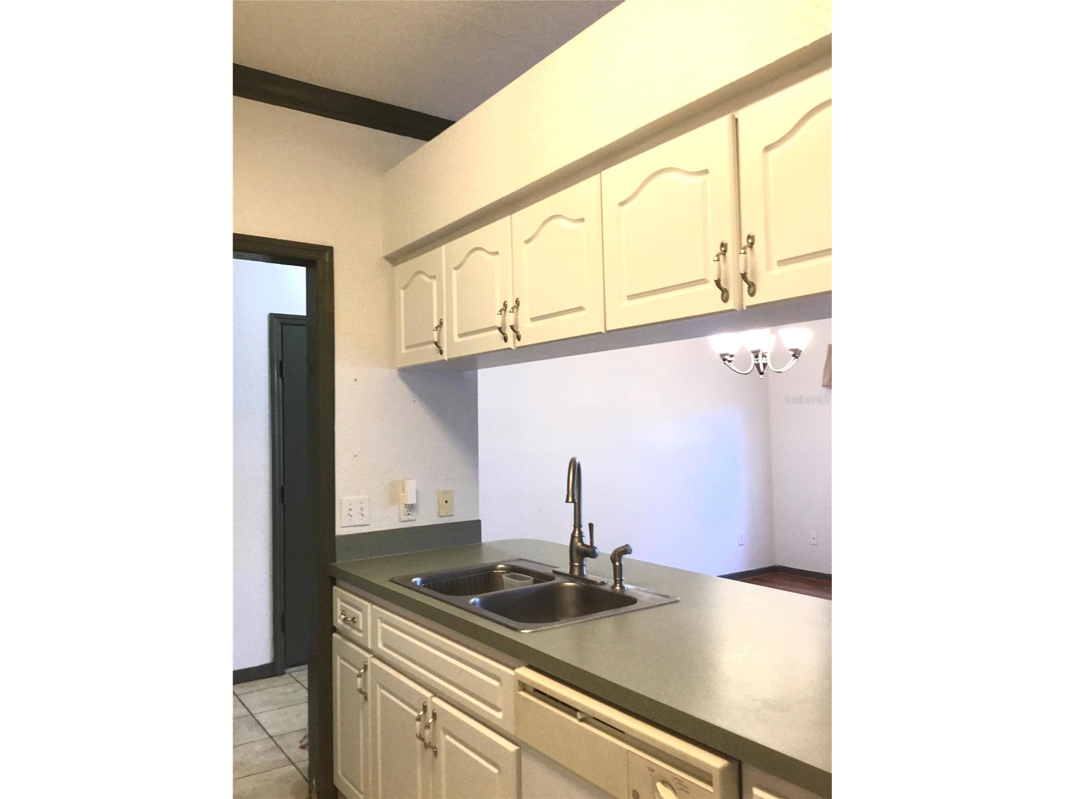 1101 Eagle Pond Drive #1101 Winter Haven FL 33884 S5146256 image7