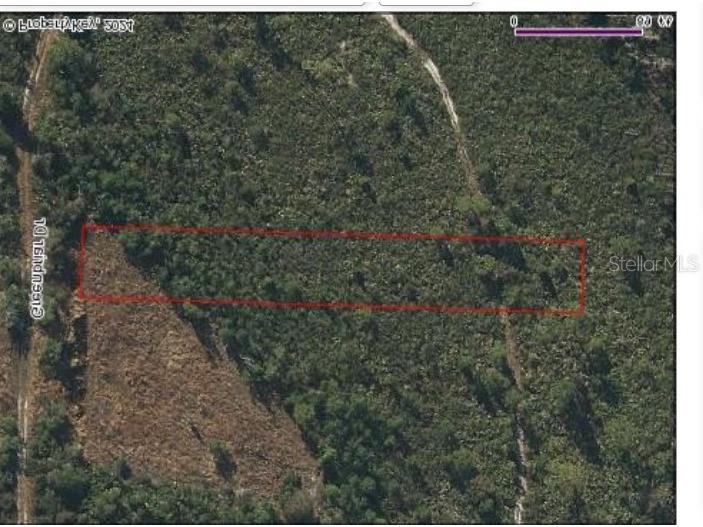 1101 Greenbriar Drive Christmas FL 32709 O6200073 image2