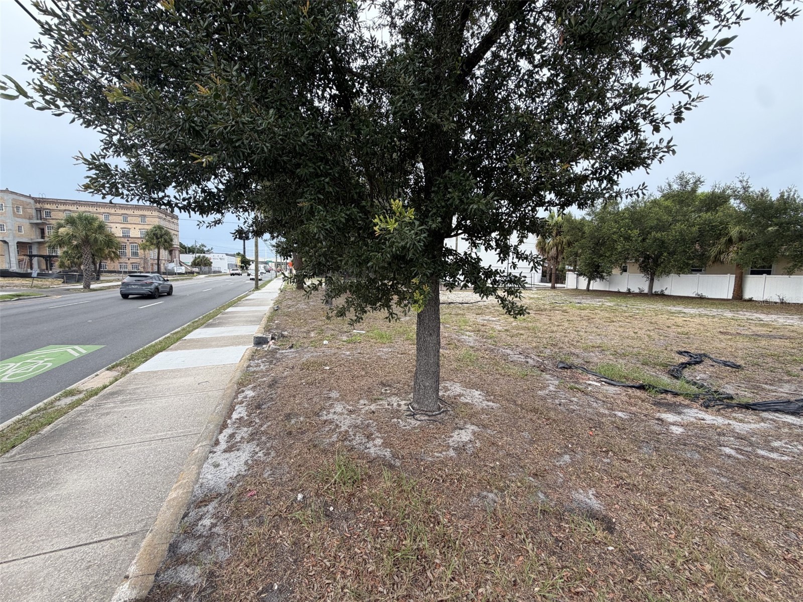 1101 N Howard Avenue Tampa FL 33607 A4700138 image10
