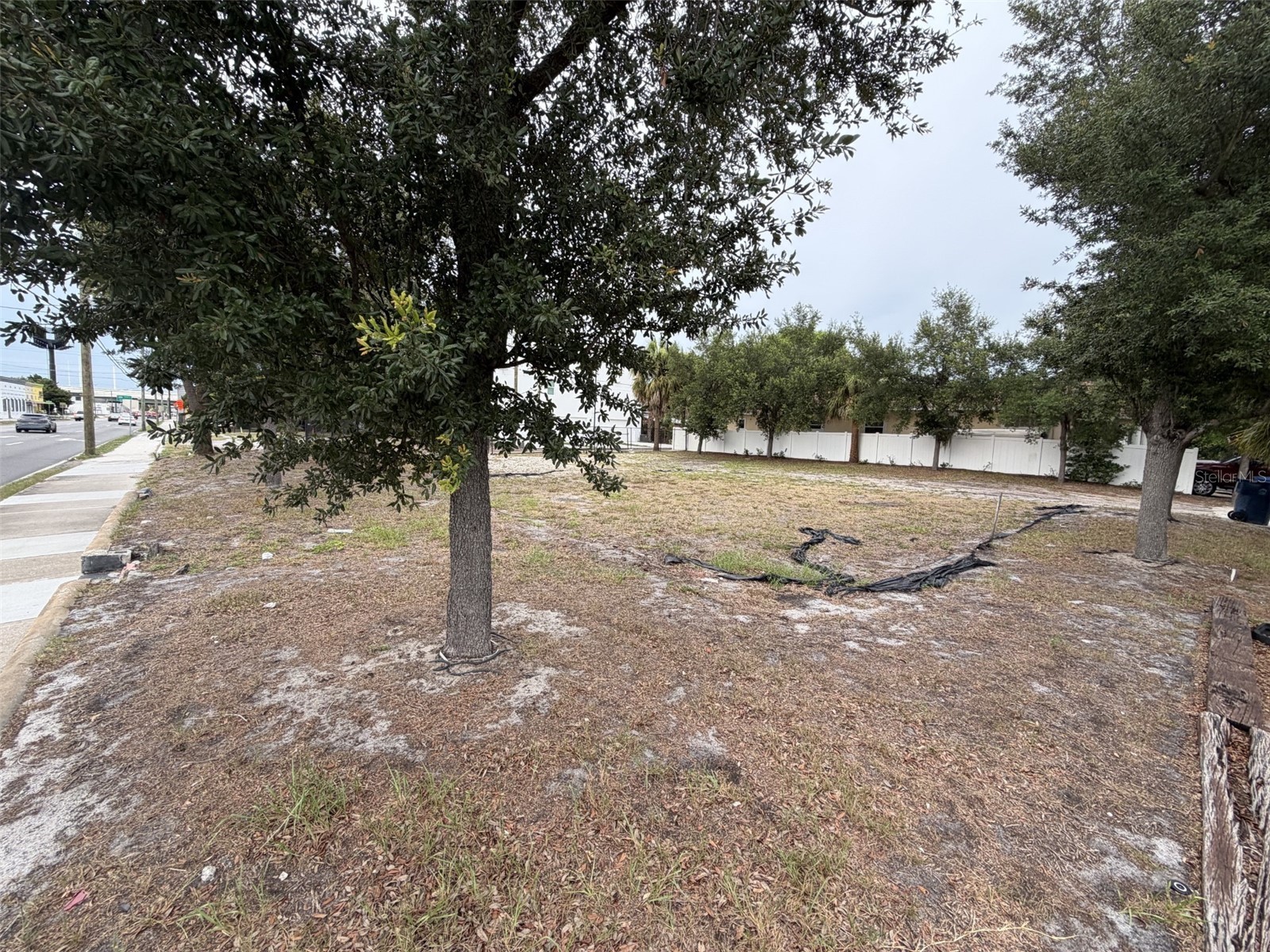 1101 N Howard Avenue Tampa FL 33607 A4700138 image9