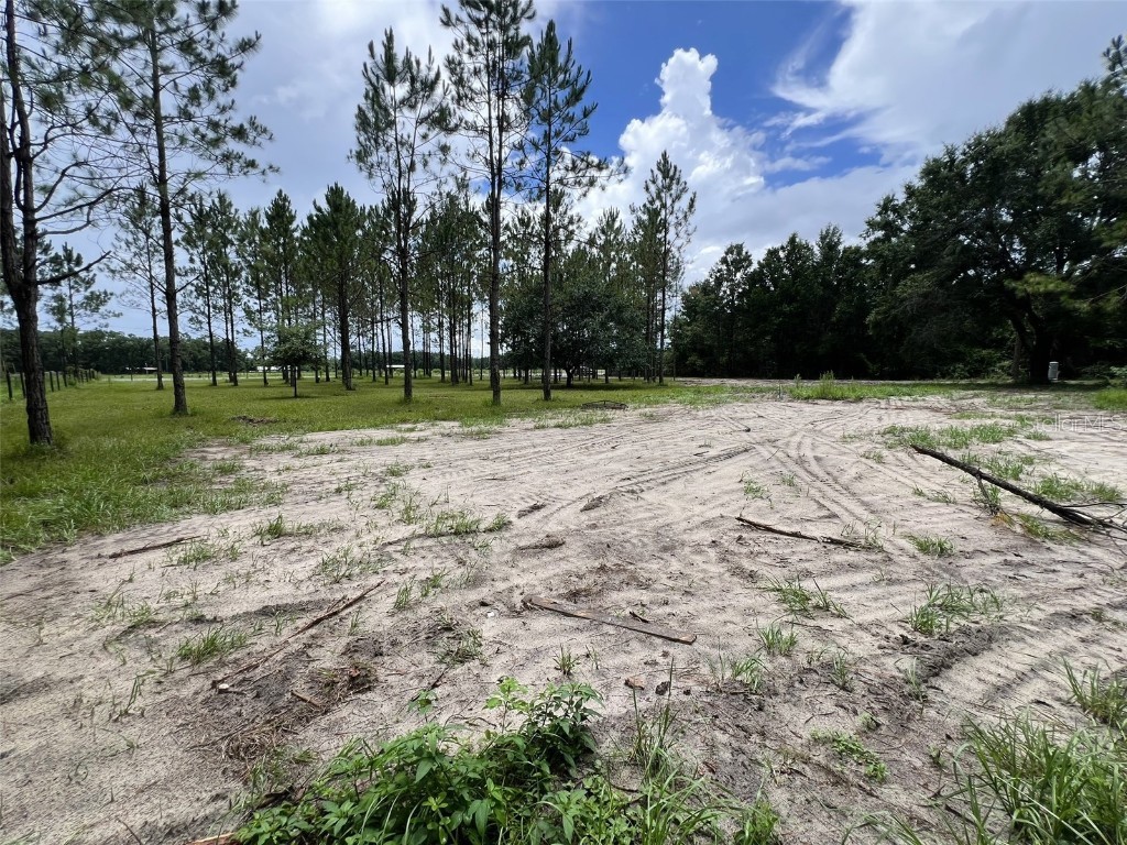 1101 NE 340 Highway Branford FL 32008 GC532226 image11