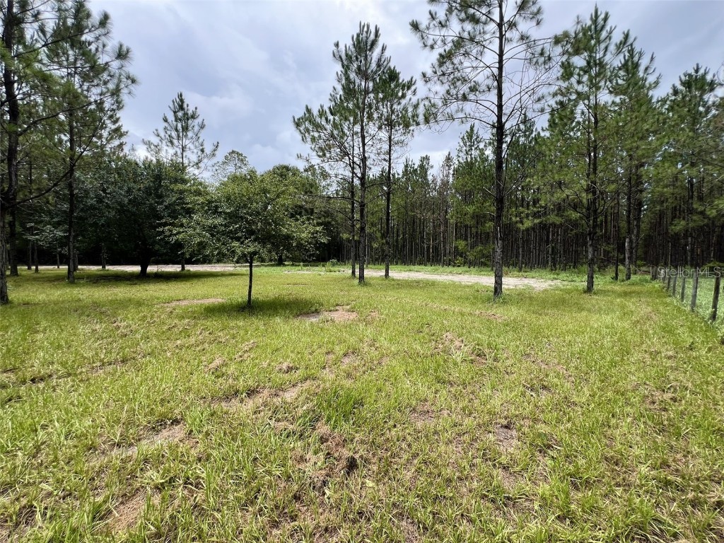 1101 NE 340 Highway Branford FL 32008 GC532226 image12