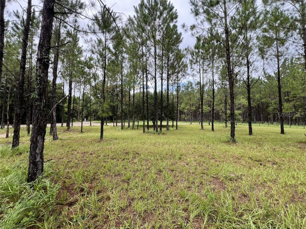 1101 NE 340 Highway Branford FL 32008 GC532226 image15