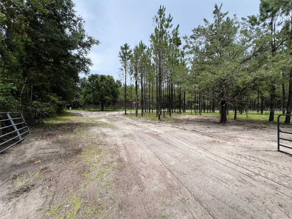 1101 NE 340 Highway Branford FL 32008 GC532226 image4