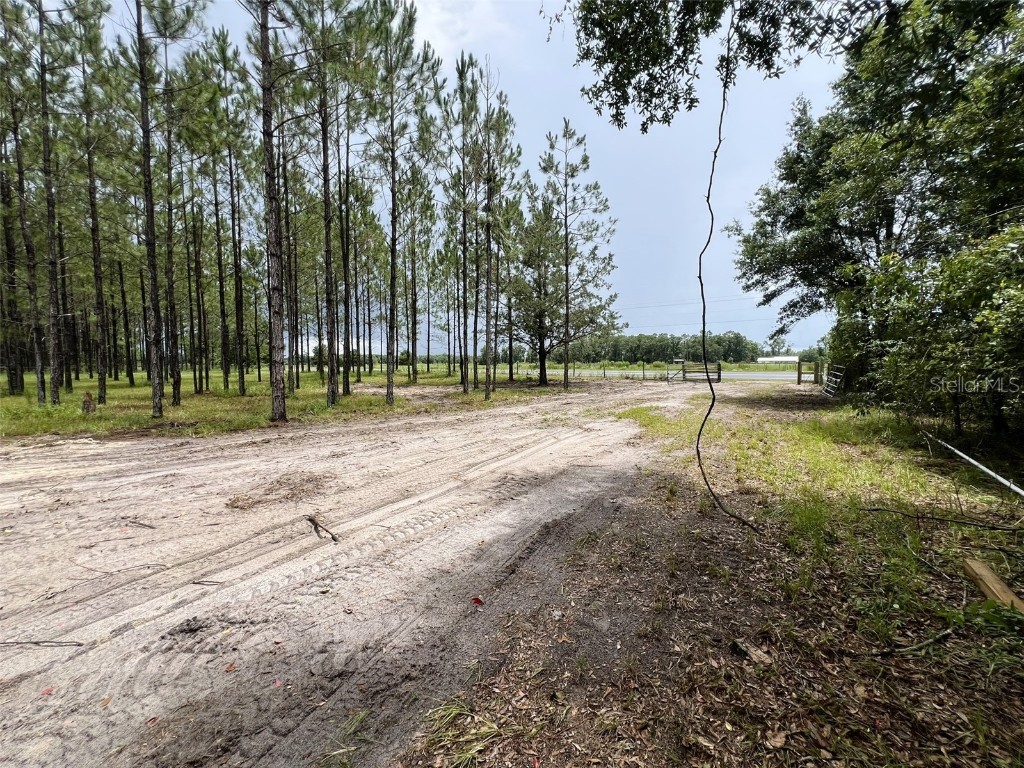 1101 NE 340 Highway Branford FL 32008 GC532226 image5