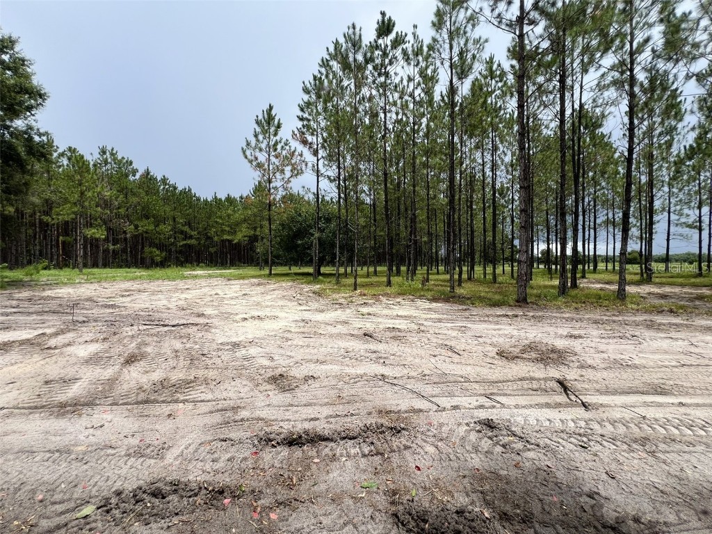 1101 NE 340 Highway Branford FL 32008 GC532226 image6