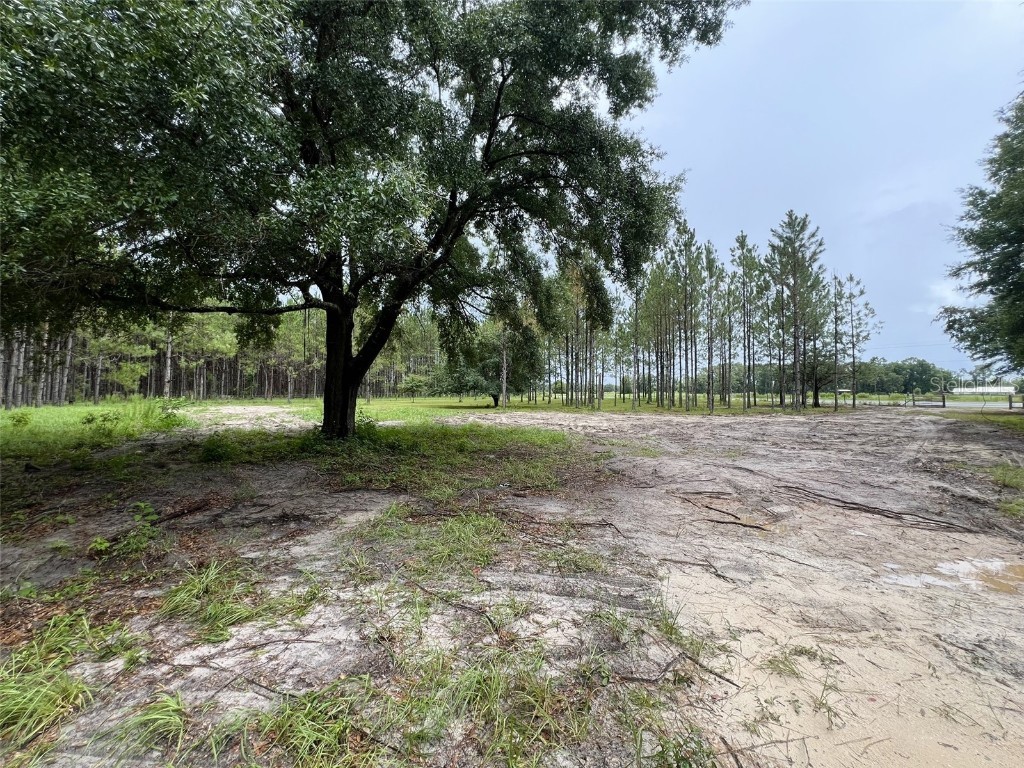 1101 NE 340 Highway Branford FL 32008 GC532226 image9