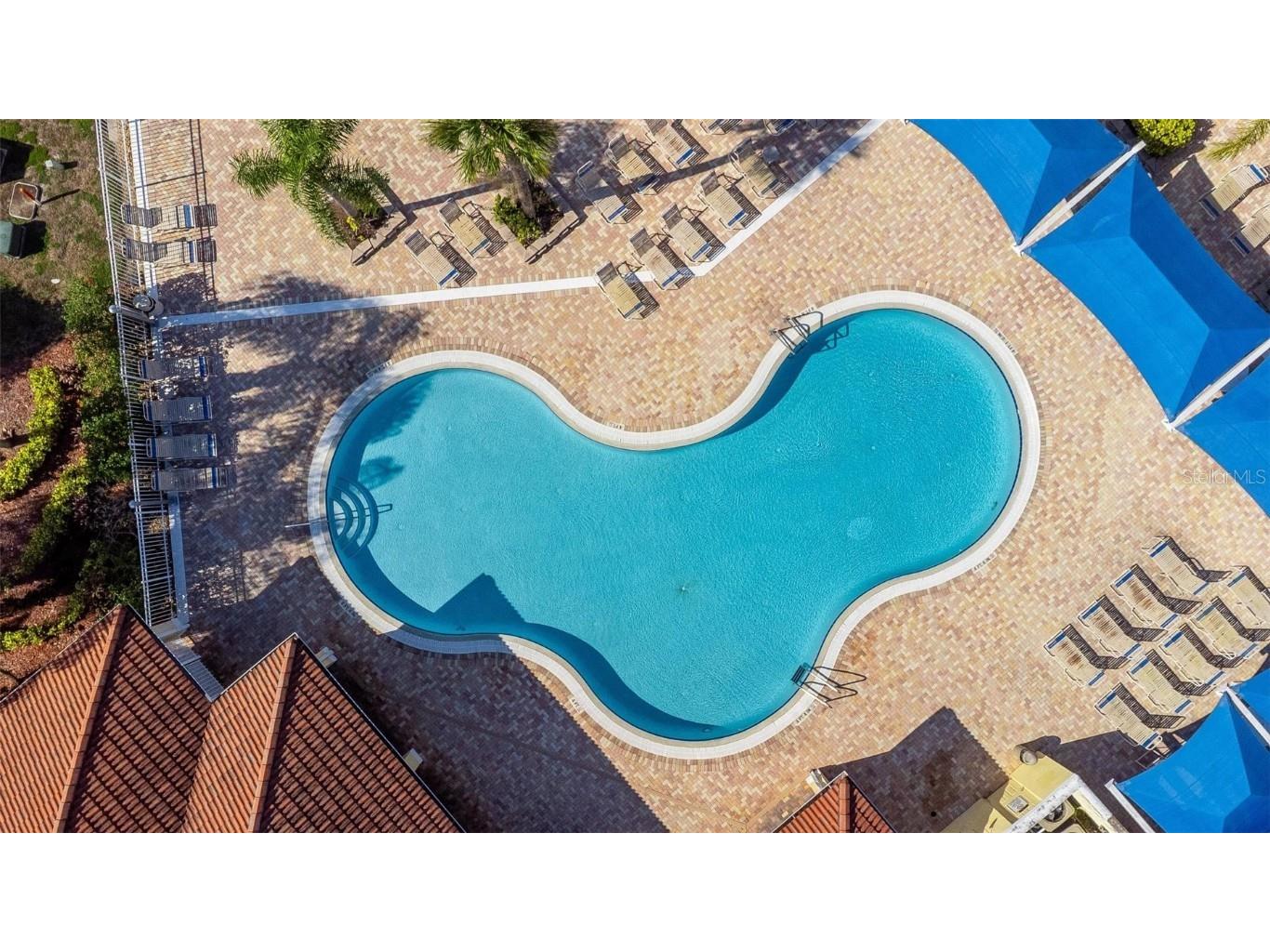 1101 Park Ridge Circle Kissimmee FL 34746 O6359415 image39