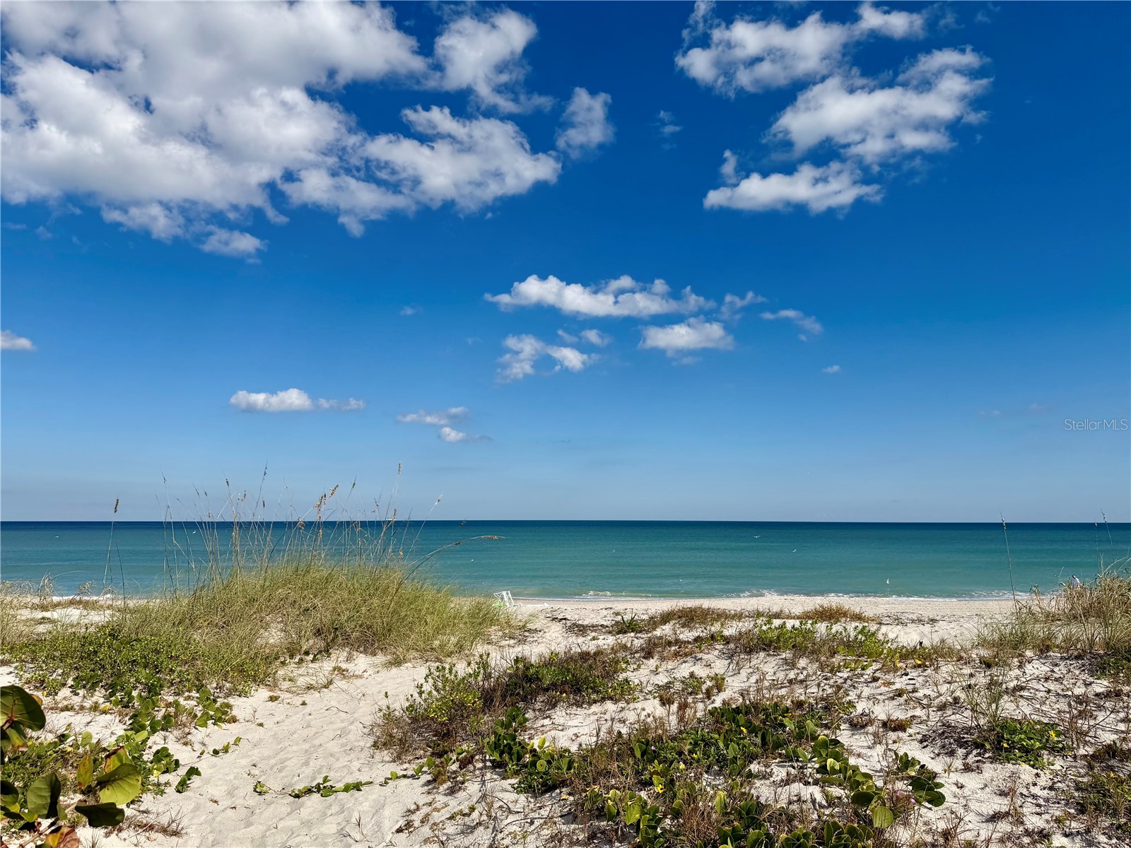 1101 S Miramar Avenue #209 Indialantic FL 32903 V4945979 image25