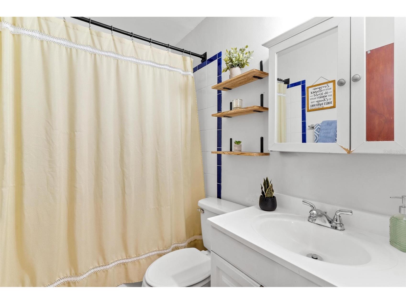 1101 Spruce Court Tavares FL 32778 G5110166 image19