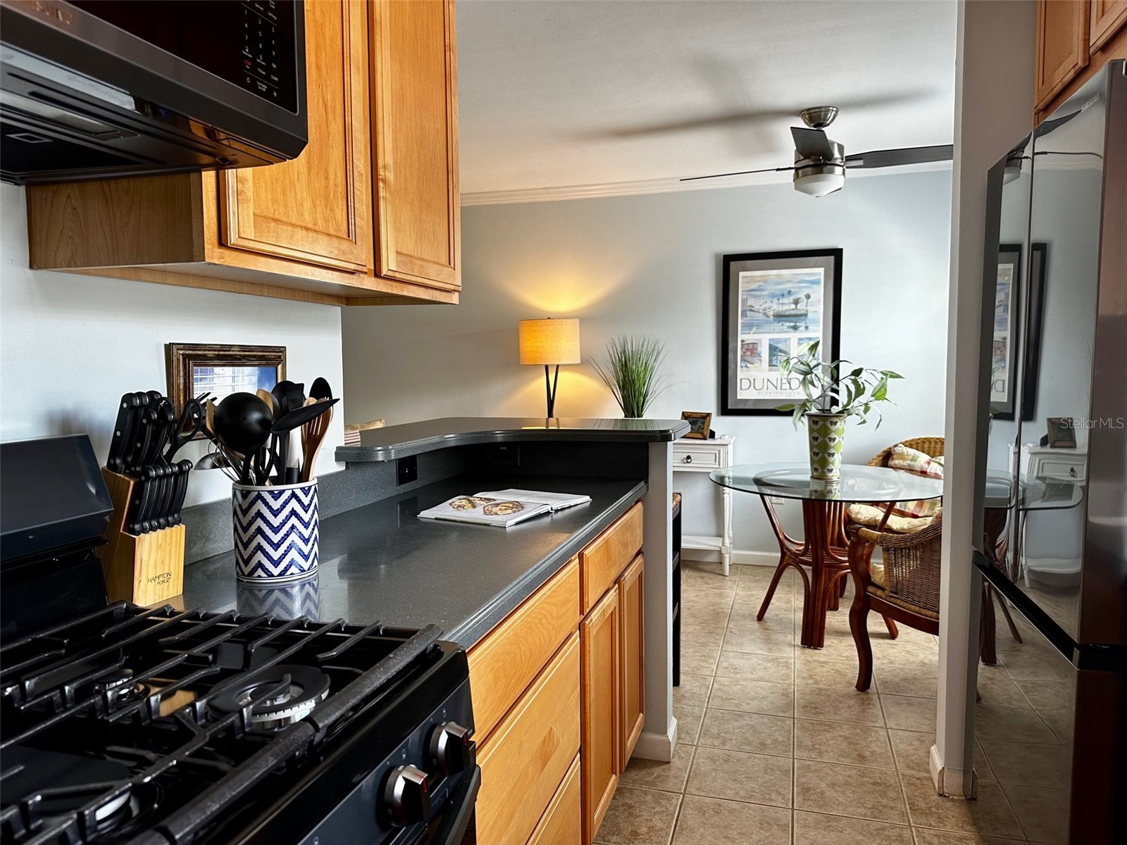 1101 Victoria Drive #7 Dunedin FL 34698 - ST. JOSEPH'S SOUND TB8507212 image14