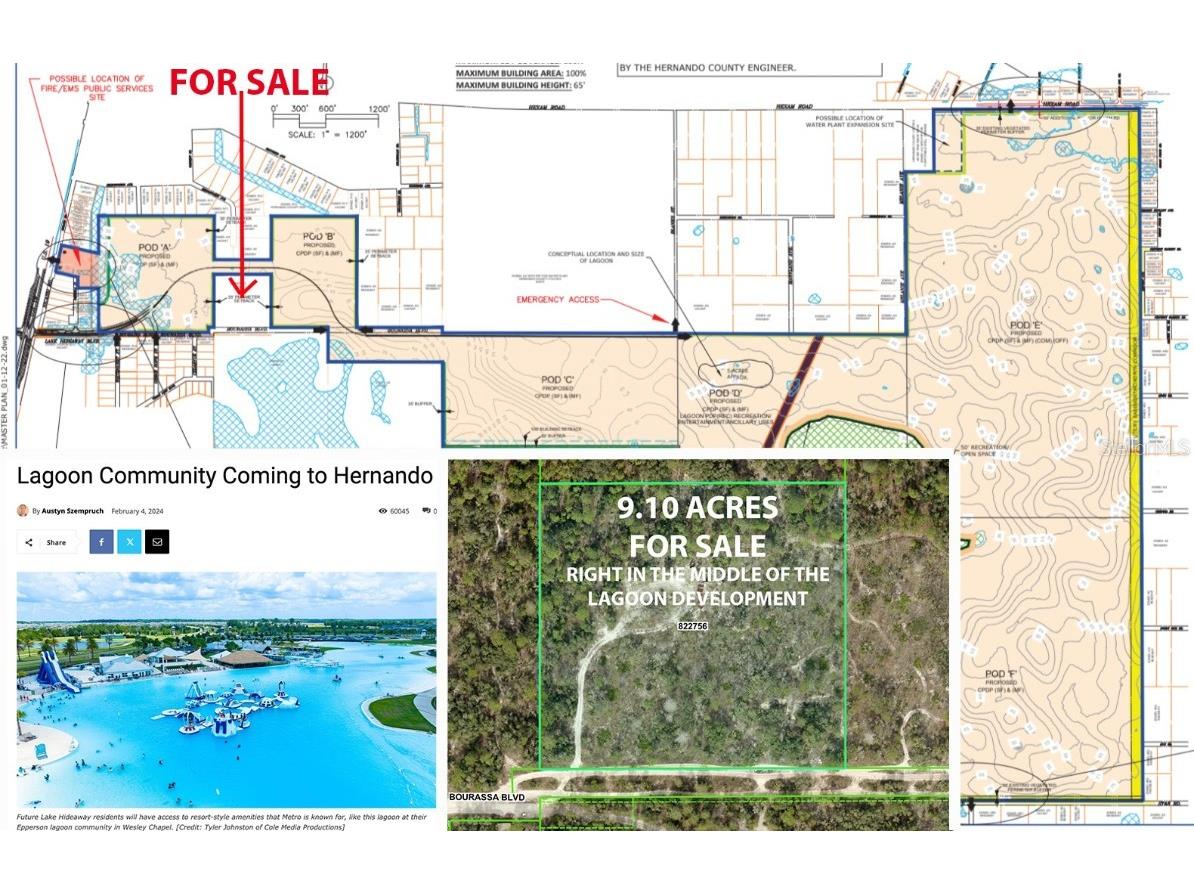 11011 Bourassa Boulevard Weeki Wachee FL 34613 W7868031 image1