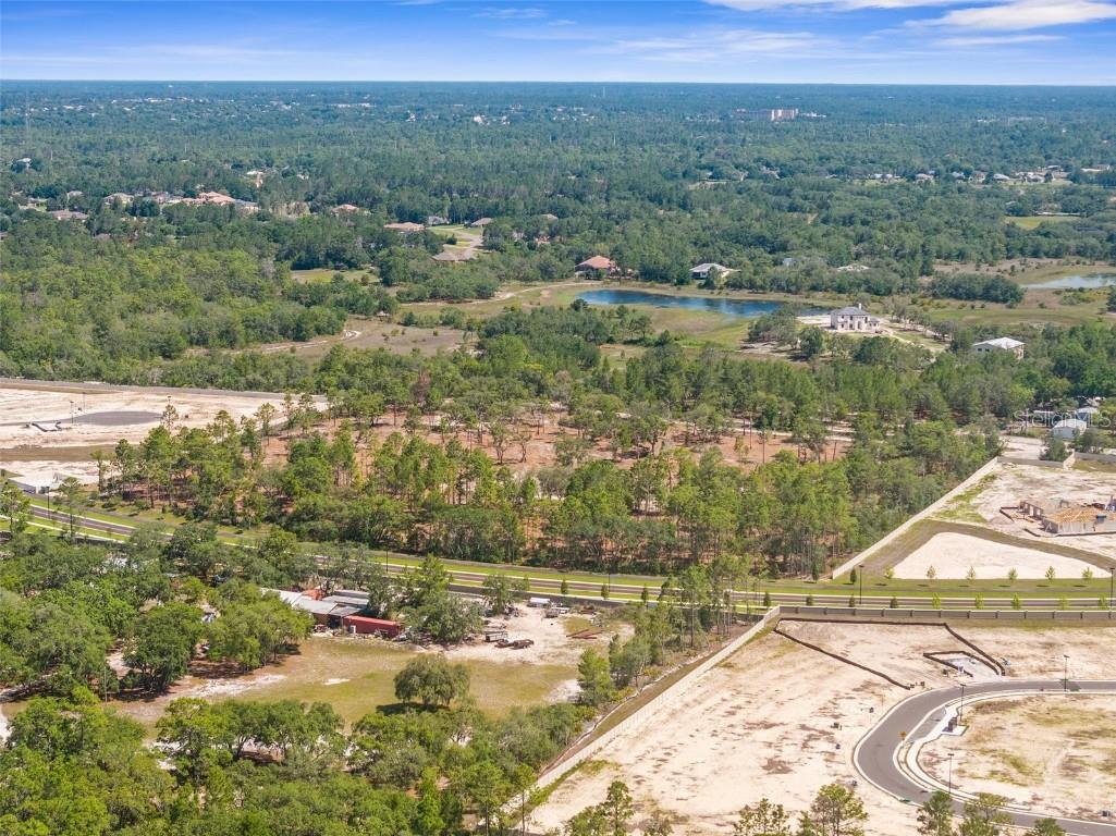 11011 Bourassa Boulevard Weeki Wachee FL 34613 W7868031 image13