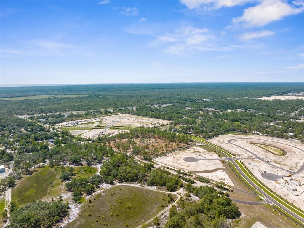 11011 Bourassa Boulevard Weeki Wachee FL 34613 W7868031 image16