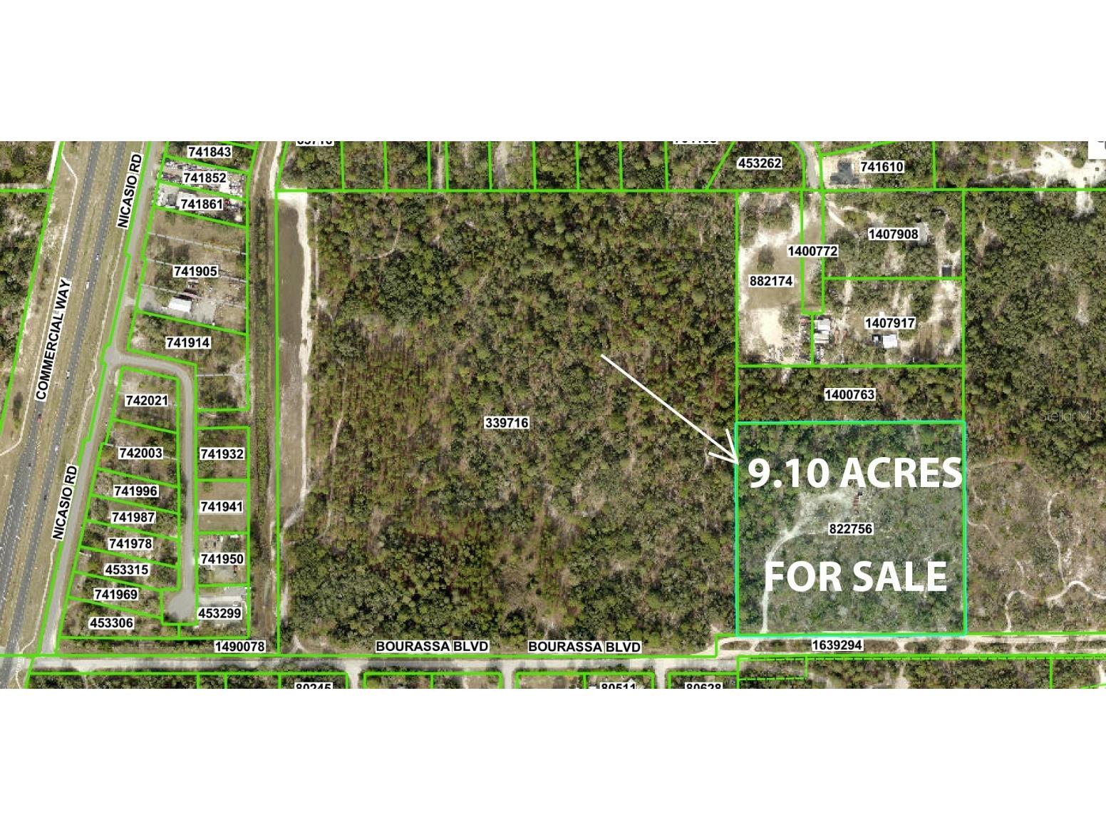 11011 Bourassa Boulevard Weeki Wachee FL 34613 W7868031 image2