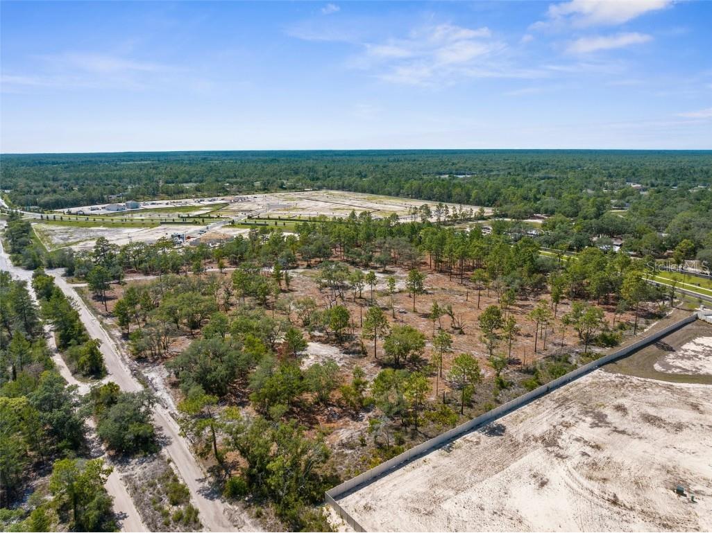 11011 Bourassa Boulevard Weeki Wachee FL 34613 W7868031 image21