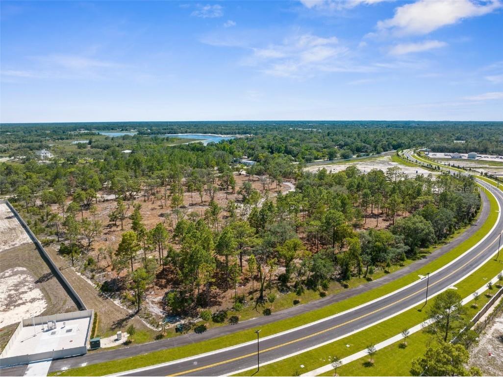 11011 Bourassa Boulevard Weeki Wachee FL 34613 W7868031 image23