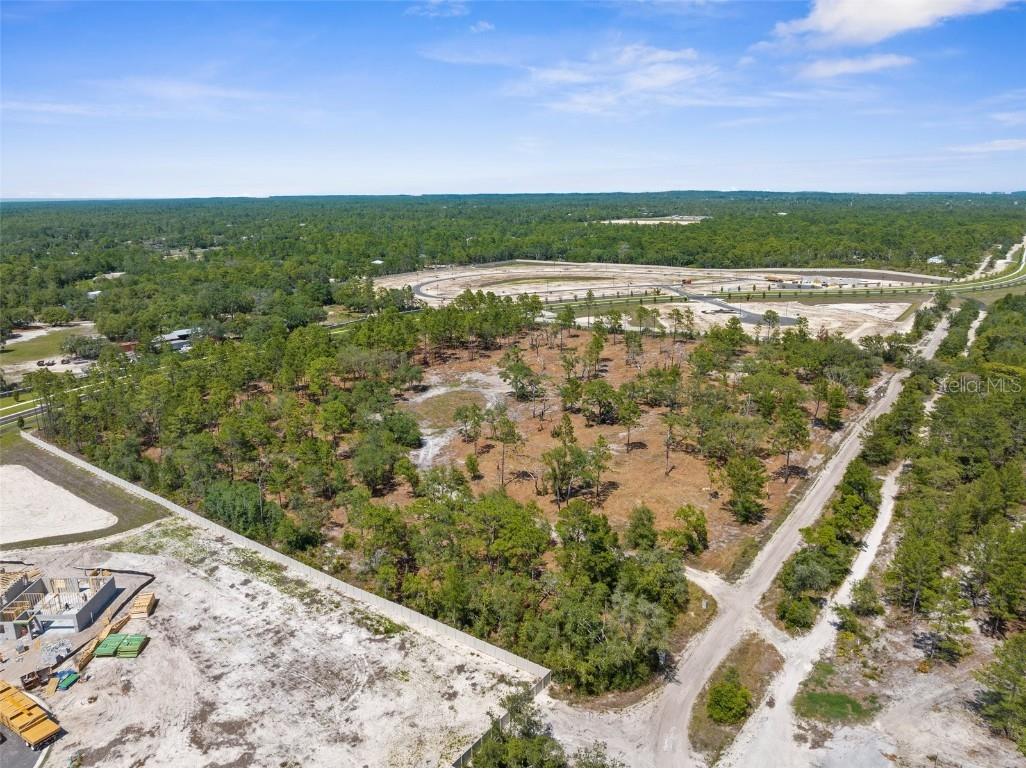 11011 Bourassa Boulevard Weeki Wachee FL 34613 W7868031 image24