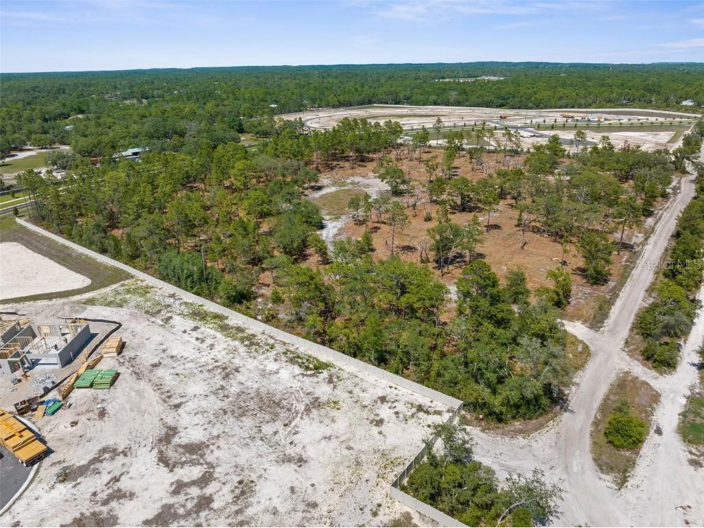 11011 Bourassa Boulevard Weeki Wachee FL 34613 W7868031 image25