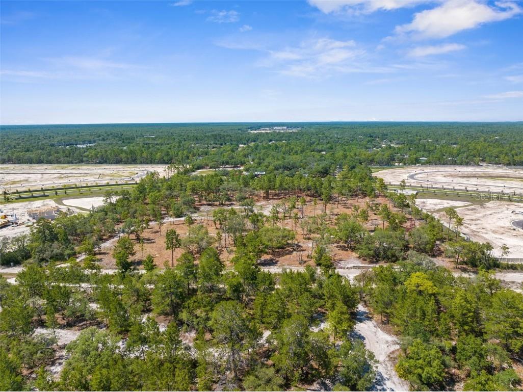 11011 Bourassa Boulevard Weeki Wachee FL 34613 W7868031 image26