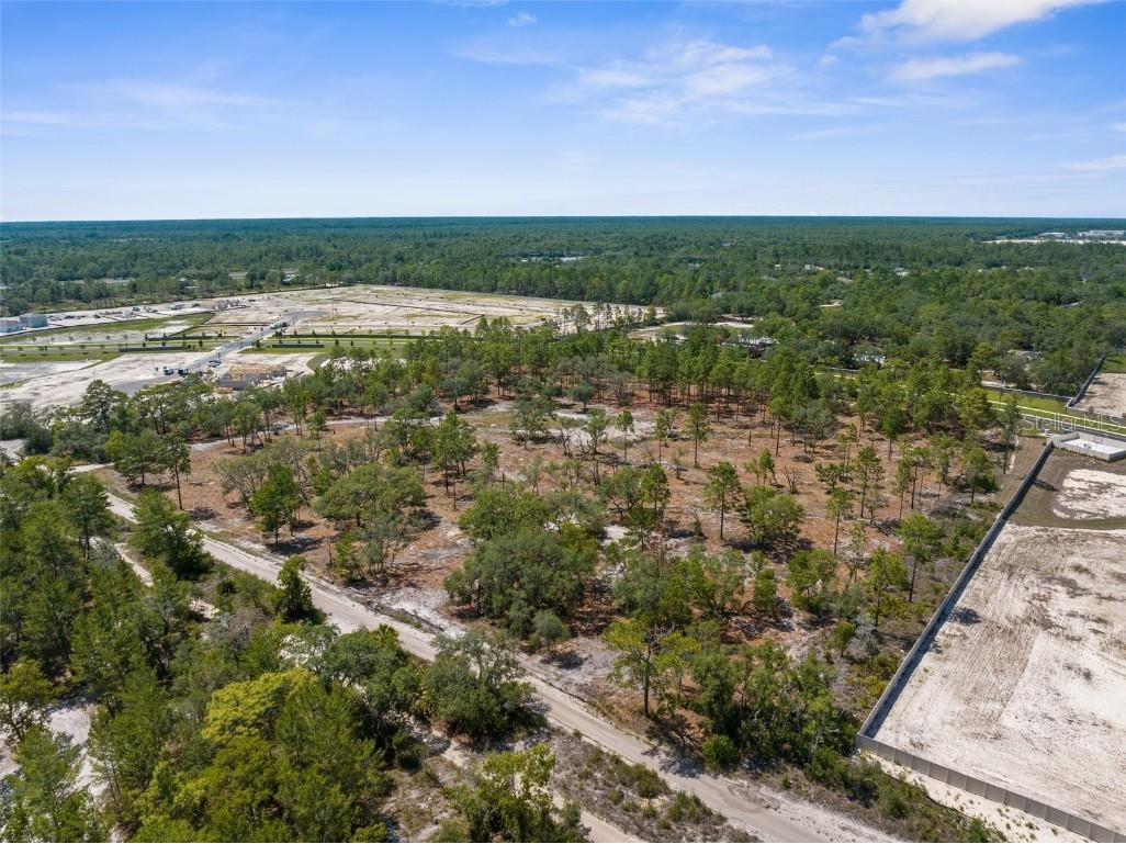 11011 Bourassa Boulevard Weeki Wachee FL 34613 W7868031 image29