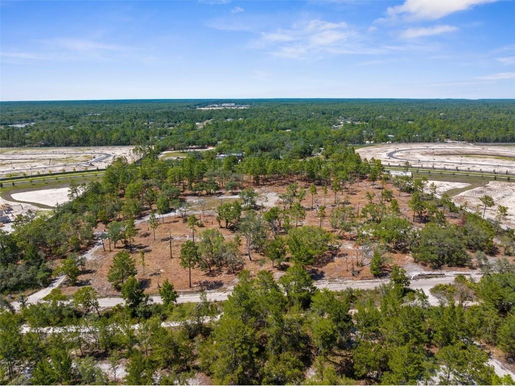 11011 Bourassa Boulevard Weeki Wachee FL 34613 W7868031 image30