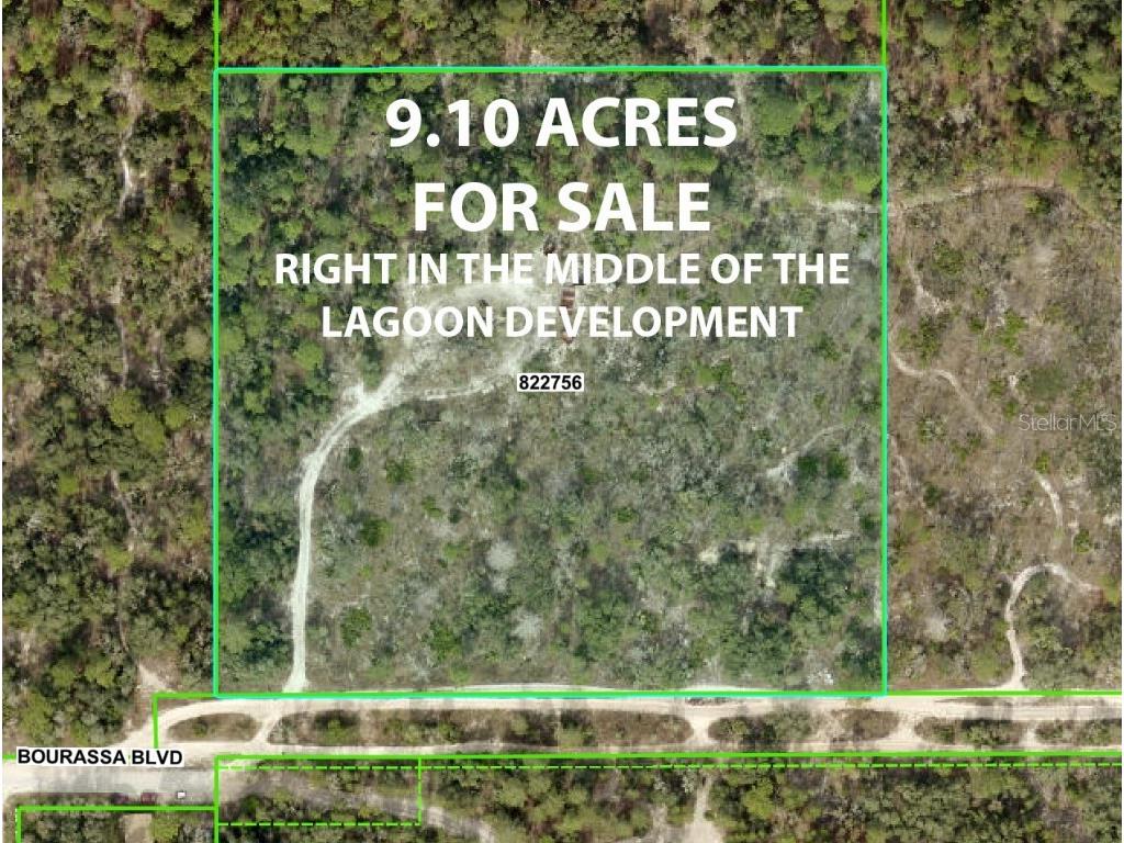 11011 Bourassa Boulevard Weeki Wachee FL 34613 W7868031 image4