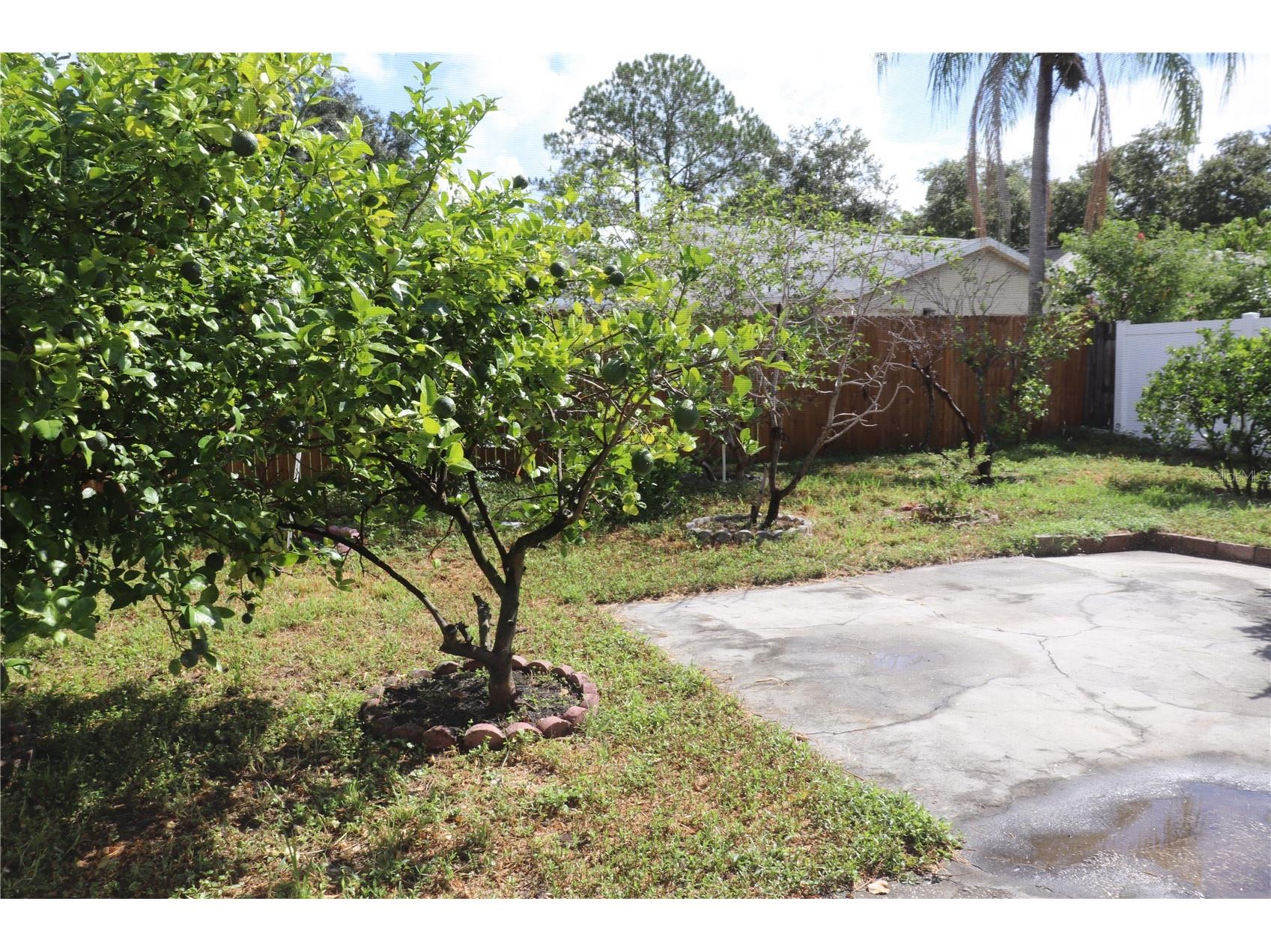 11012 Brightside Drive Tampa FL 33624 O6416958 image15
