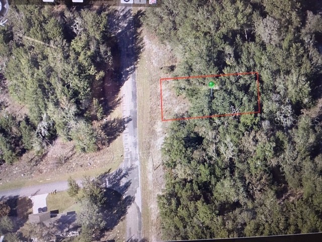 11012 N Academy Drive Citrus Springs FL 34434 OM650940 image1