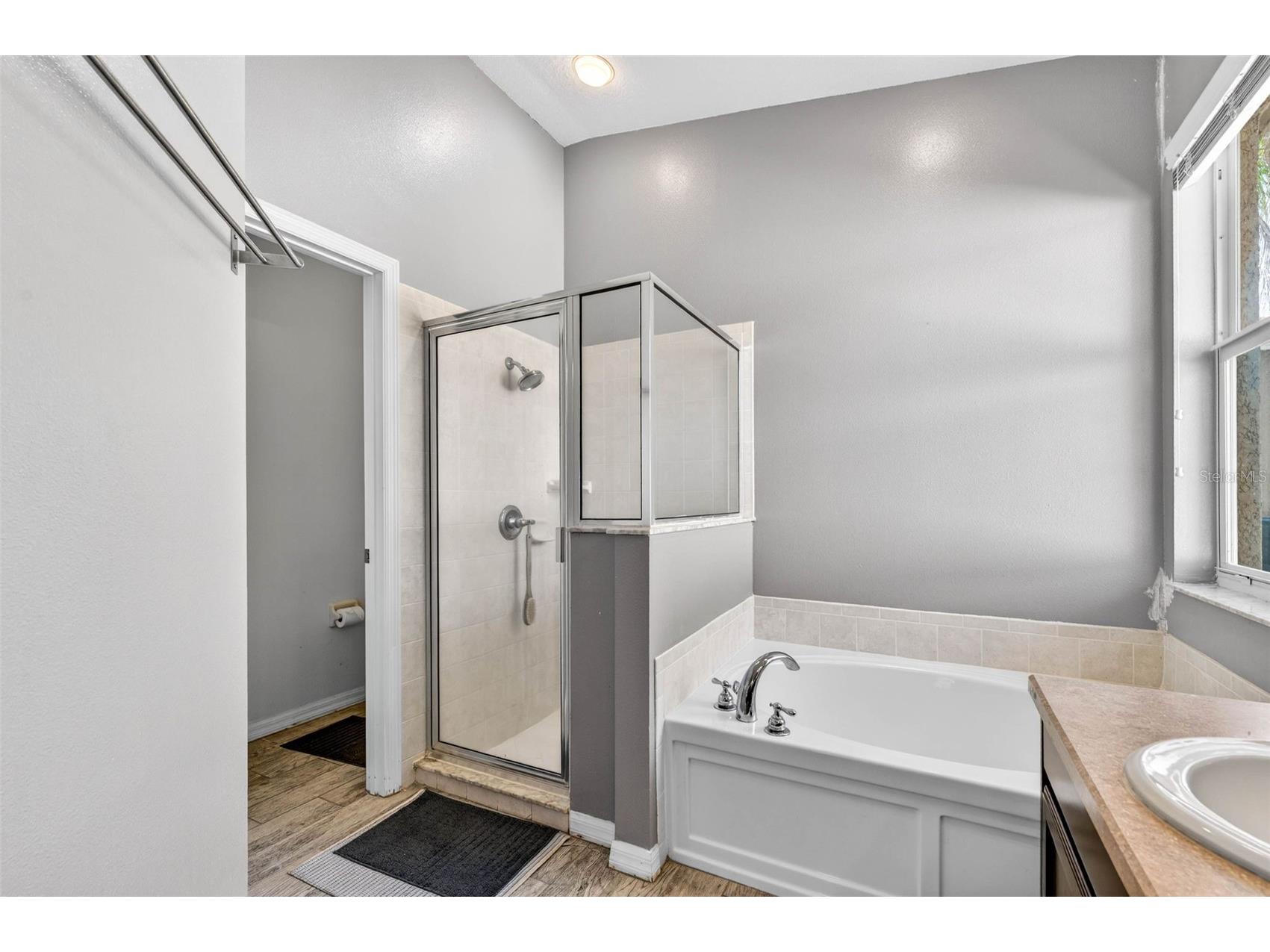 11013 Rockledge View Drive Riverview FL 33579 TB8474745 image22