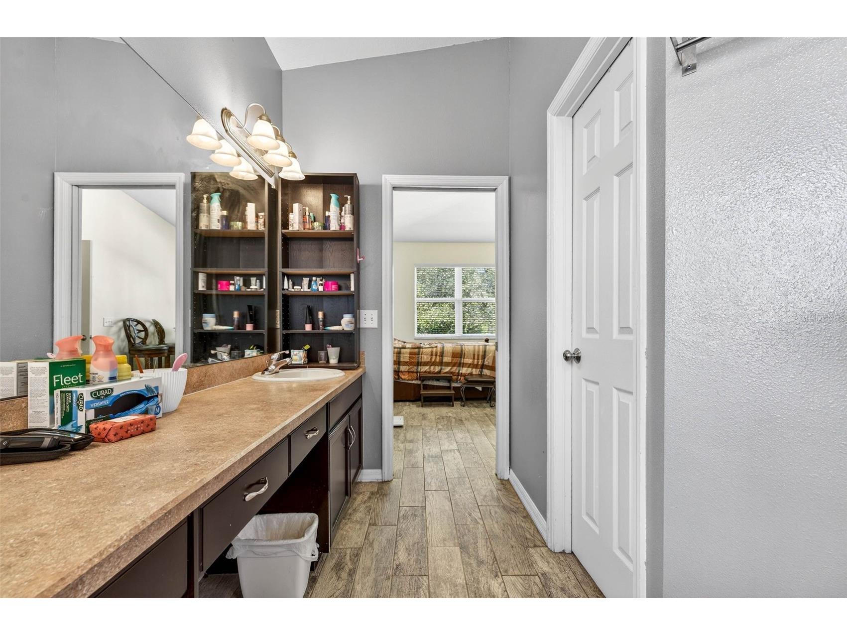 11013 Rockledge View Drive Riverview FL 33579 TB8474745 image23